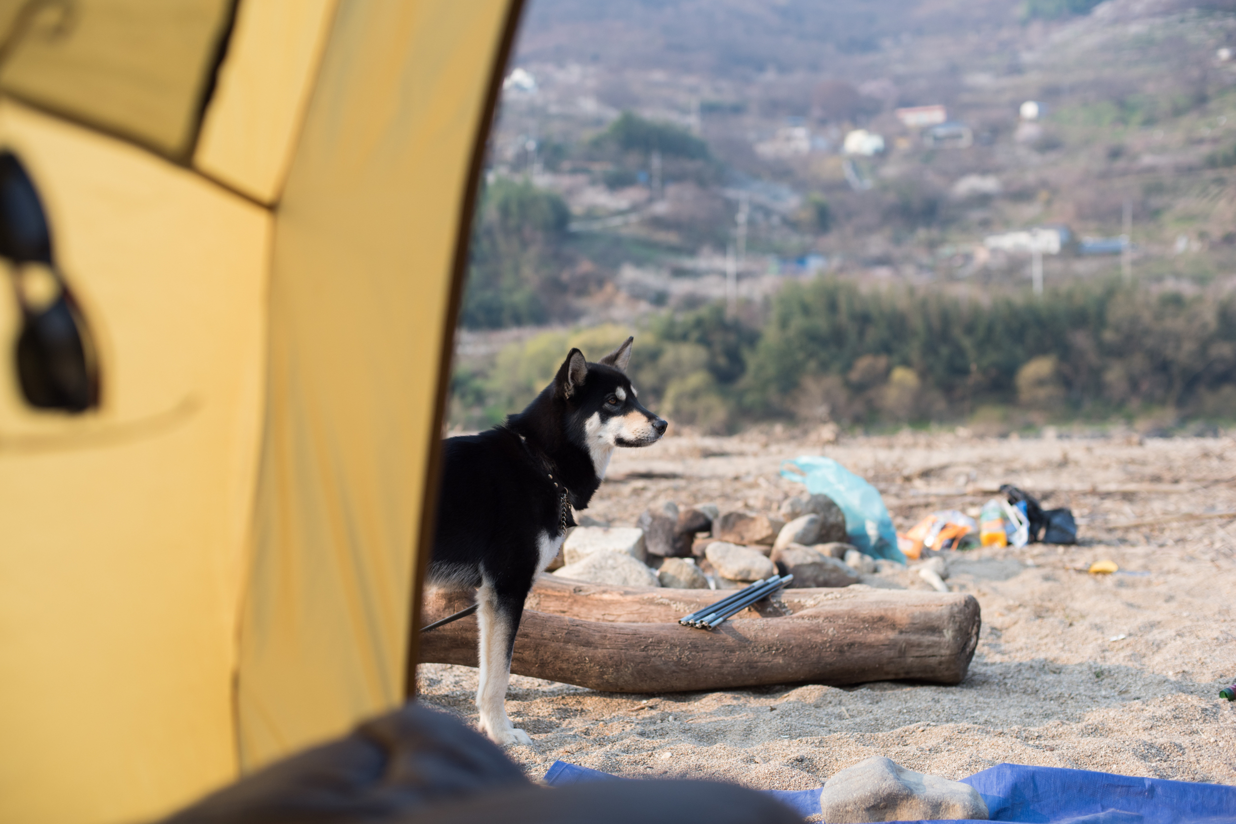 Camping in Hadong Cherry Blossoms in Korea by CityGirlSearching (46 of 48).JPG