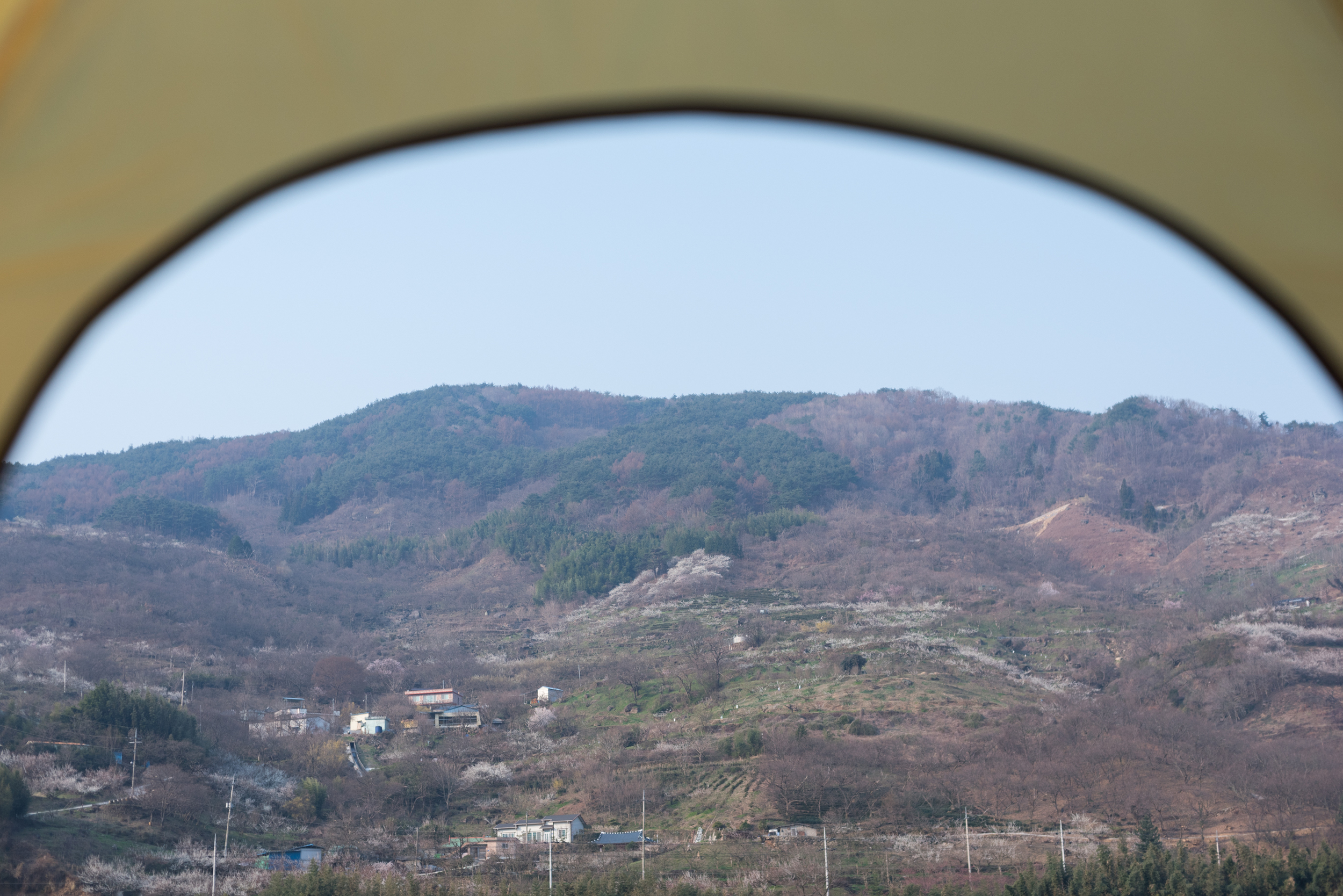 Camping in Hadong Cherry Blossoms in Korea by CityGirlSearching (47 of 48).JPG