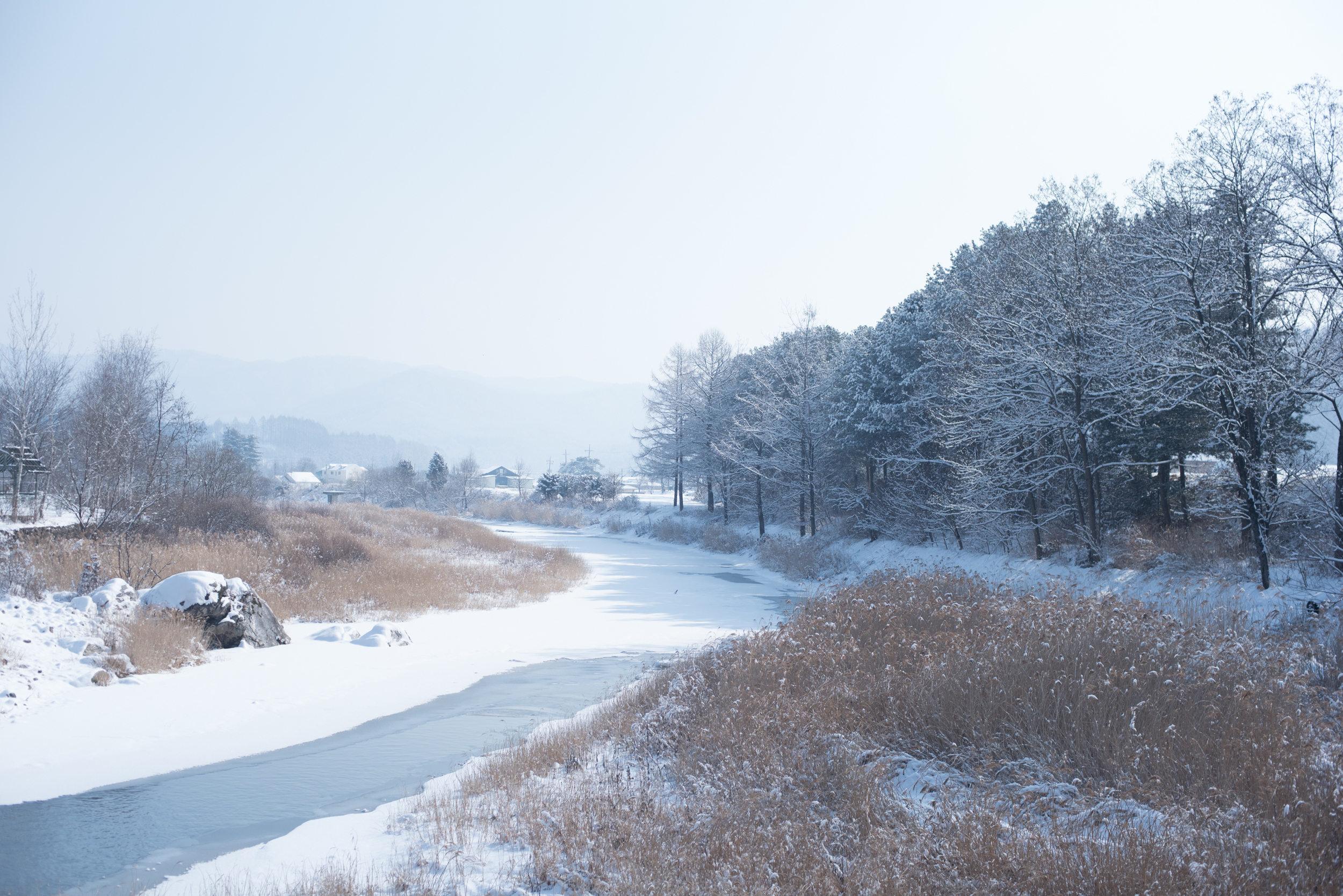 ArtInIslandPyeongChangDogFriendly Wooden Cabin Korea (200 of 258).JPG