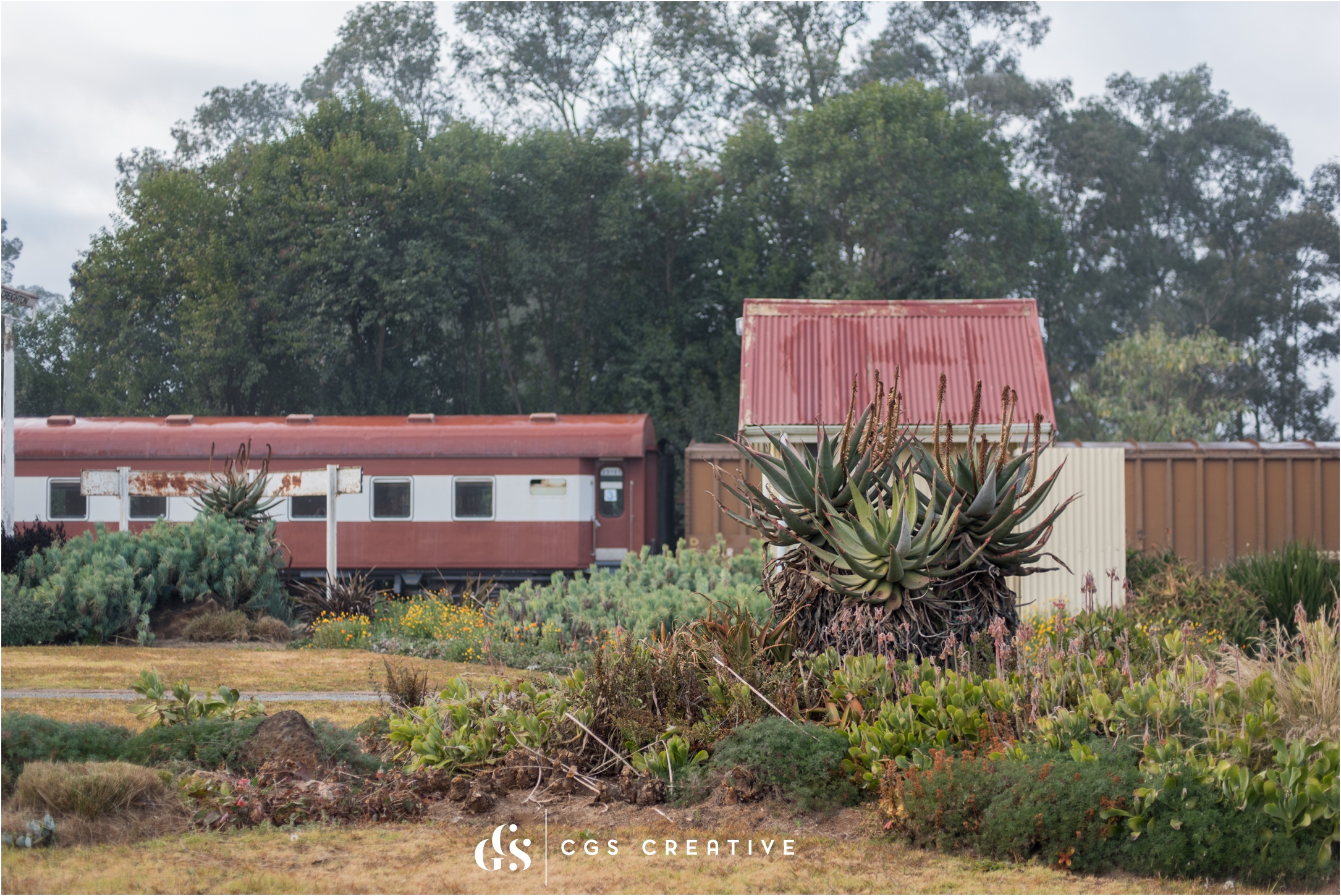 Creighton Aloe Festival South Africa by Roxy Hutton CGScreative (36 of 59).JPG