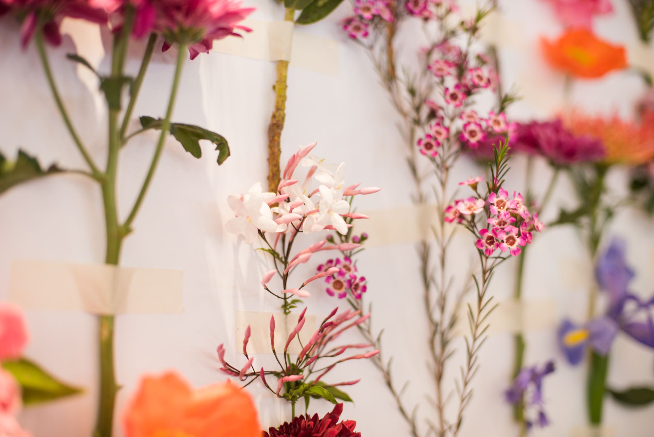 #PrettyPopUp event Cape Town by Brand Photographer Roxy Hutton CGScreative (268 of 255).JPG