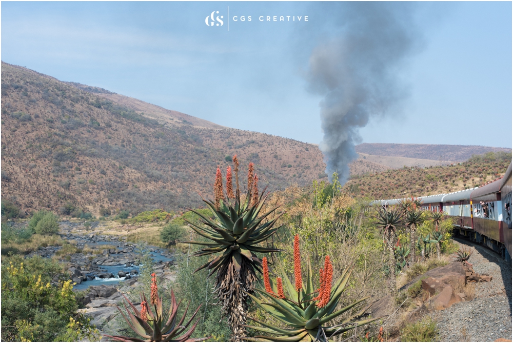 Creighton Steam Train Trip through Aloes by Roxy Hutton CGScreative (64 of 137).jpg