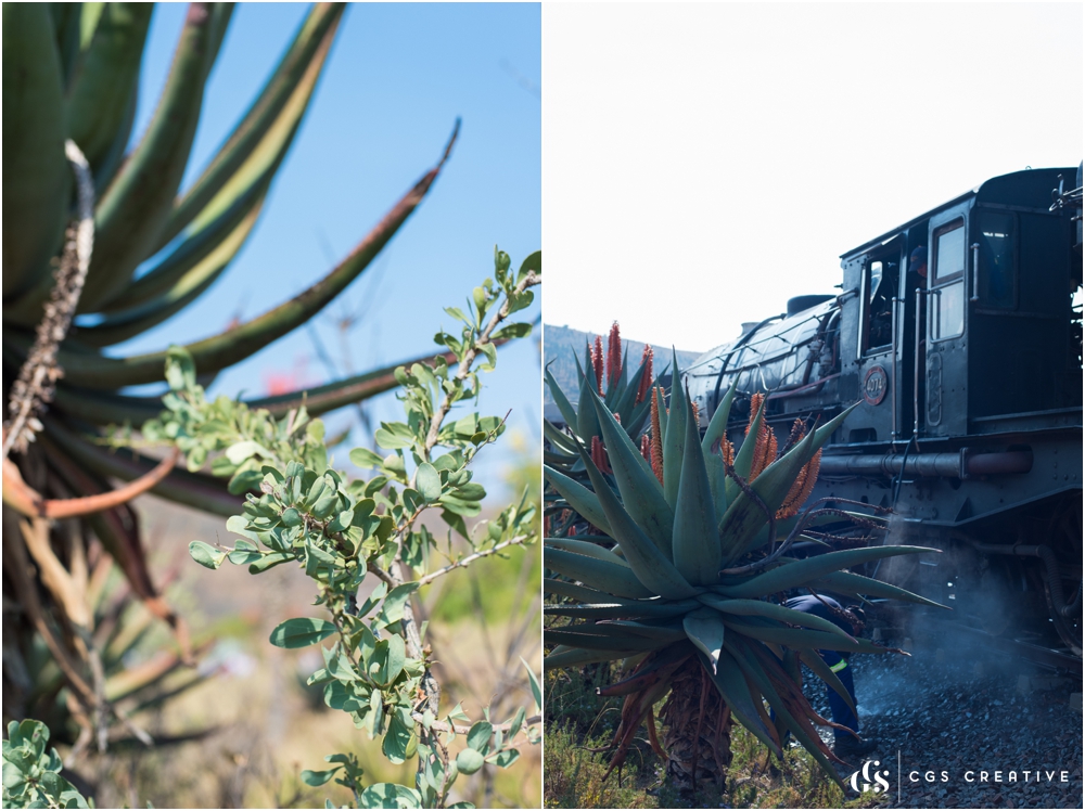 Creighton Steam Train Trip through Aloes by Roxy Hutton CGScreative (101 of 137).jpg