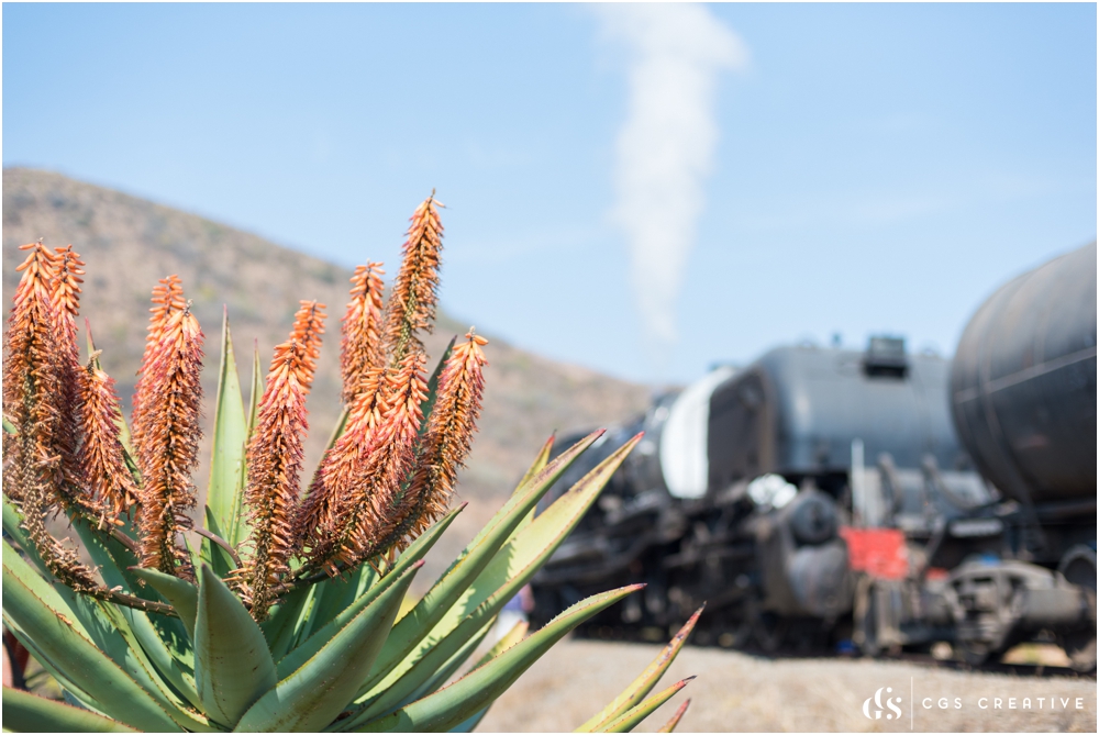 Creighton Steam Train Trip through Aloes by Roxy Hutton CGScreative (105 of 137).jpg