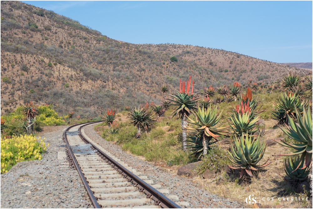 Creighton Steam Train Trip through Aloes by Roxy Hutton CGScreative (109 of 137).jpg