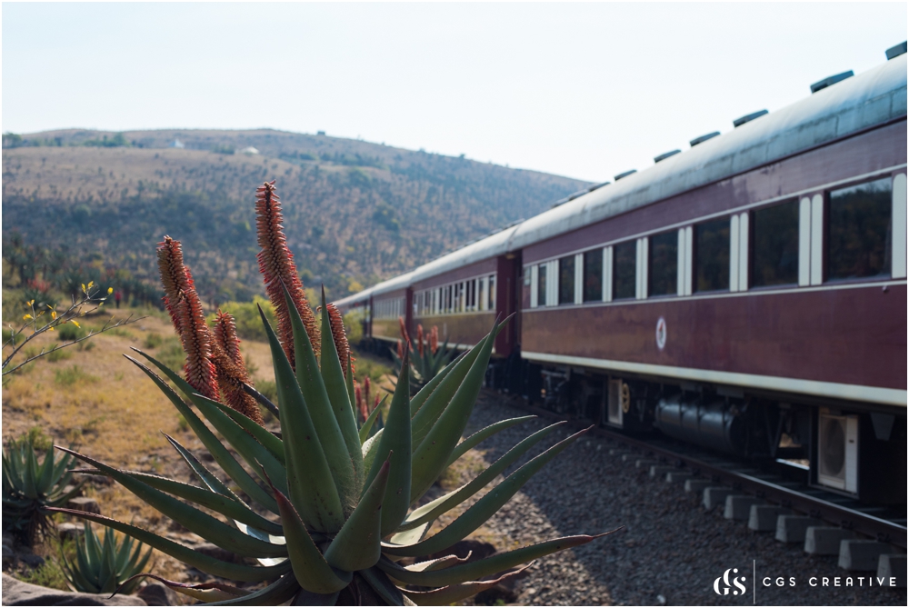 Creighton Steam Train Trip through Aloes by Roxy Hutton CGScreative (121 of 137).jpg