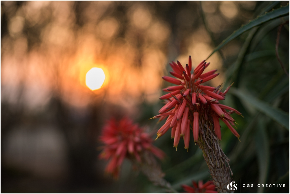 Valhalla Farm in Winter, Creighton Kwazulu Natal by Roxy Hutton CGScreative (31 of 41).jpg