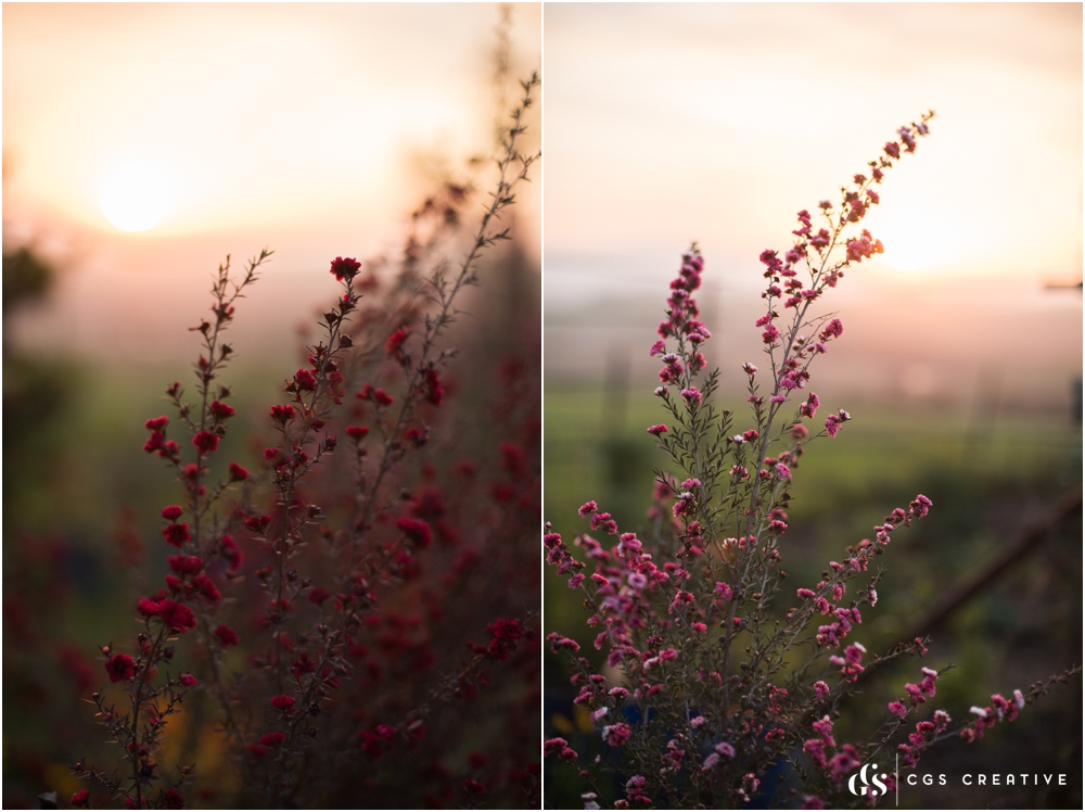 Valhalla Farm in Winter, Creighton Kwazulu Natal by Roxy Hutton CGScreative (34 of 41).jpg