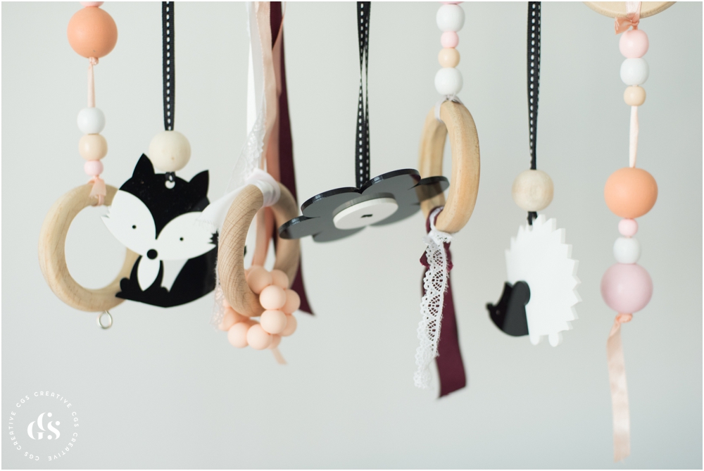 Little Interiors High Contrast Dangle Toys for Newborn Photos by Roxy Hutton of CGScreative & CityGirlSearching (19 of 20).jpg