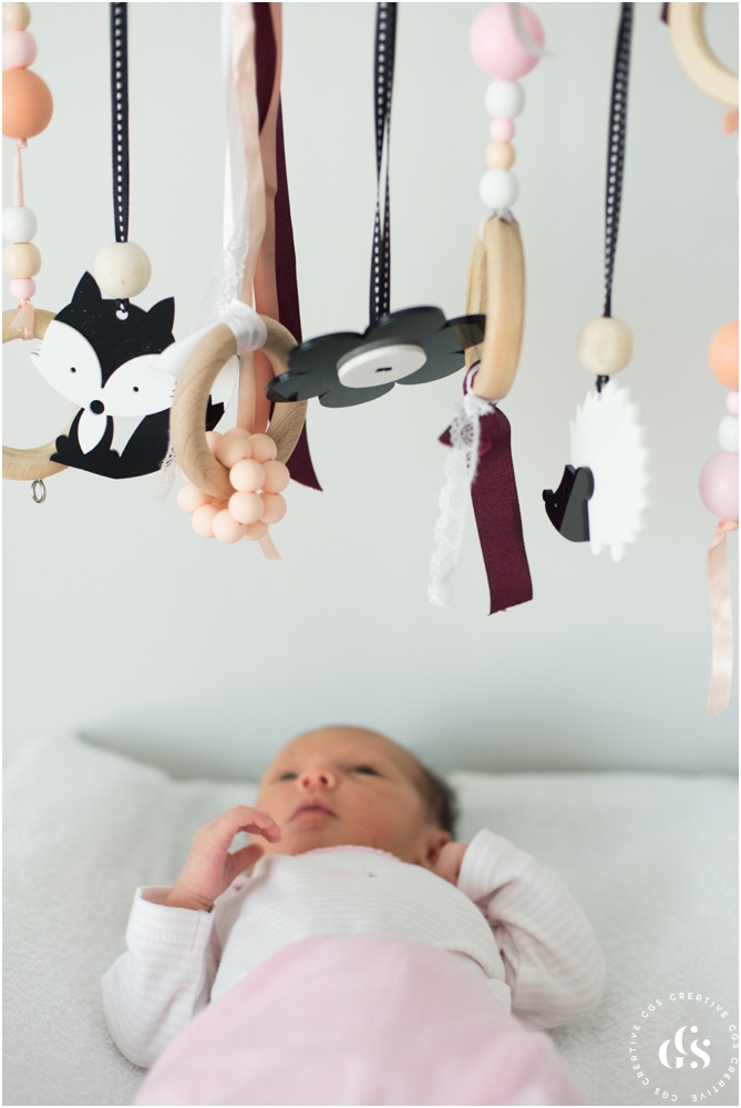 Little Interiors High Contrast Dangle Toys for Newborn Photos by Roxy Hutton of CGScreative & CityGirlSearching (15 of 20).jpg