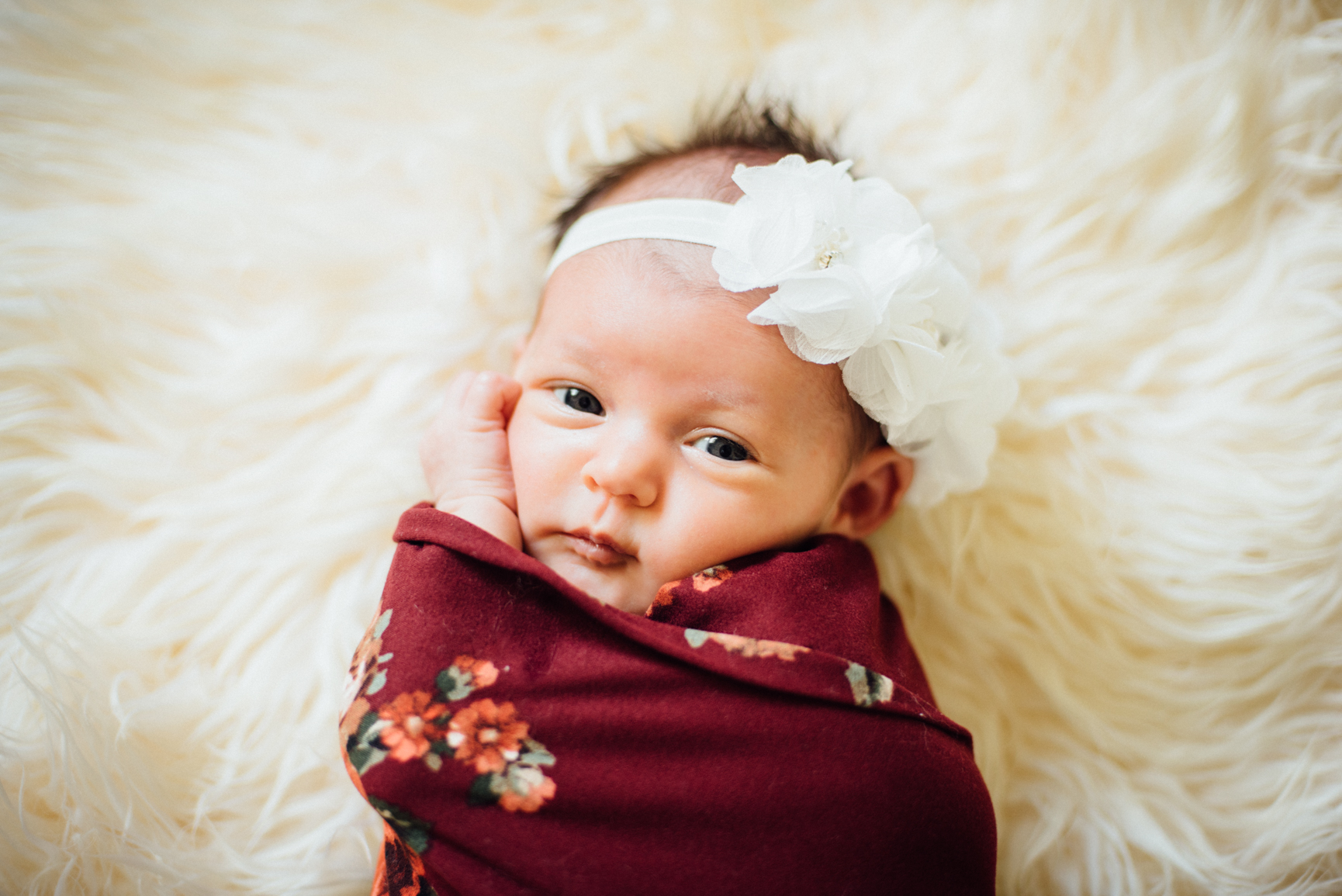 Everly Rose Newborn Photos by Roxy Hutton of CGScreative & CityGirlSearching (1 of 1).jpg