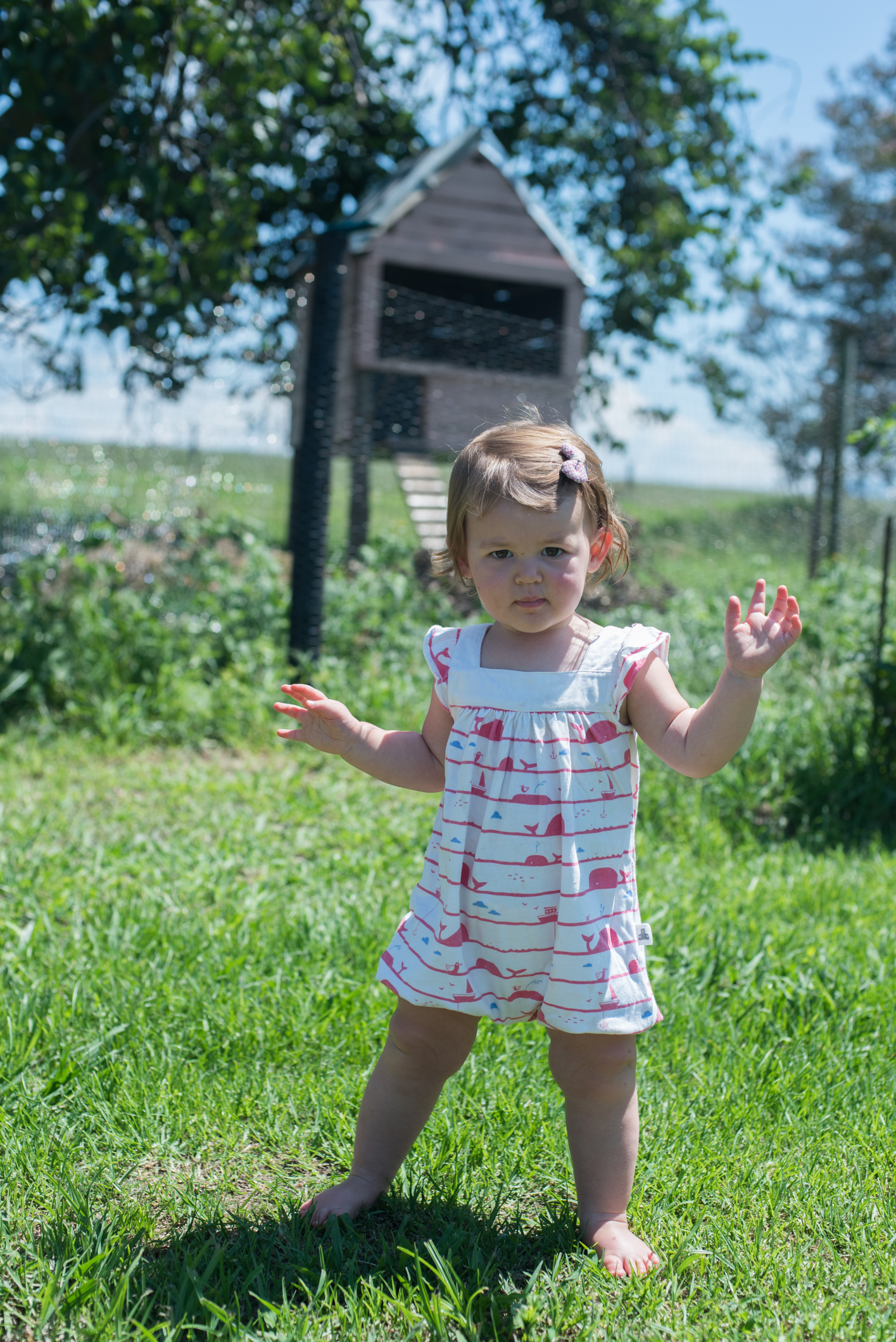 Farmboy CityGirl Pink Chicken Coop Chicken House DIY (3 of 28).jpg