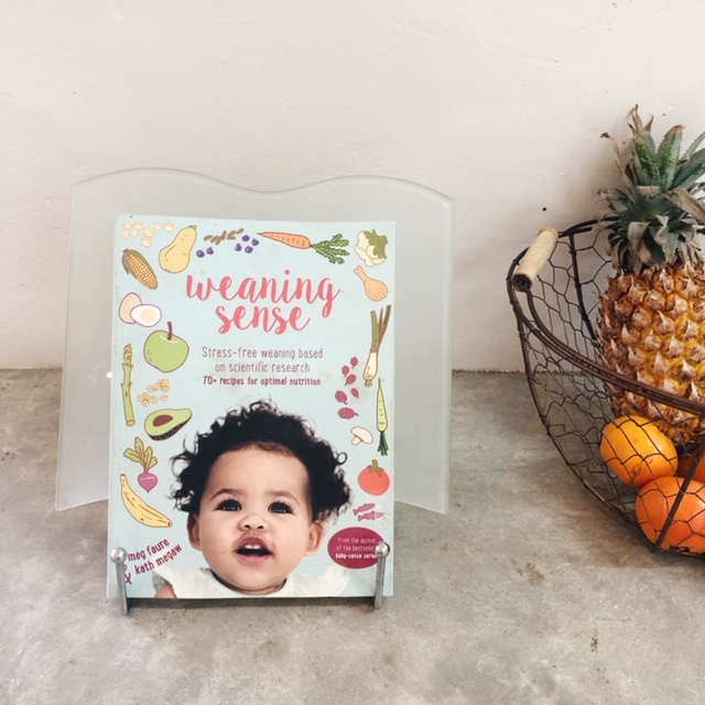 Weaning Sense Starting Solids CityGirlSearching Blog