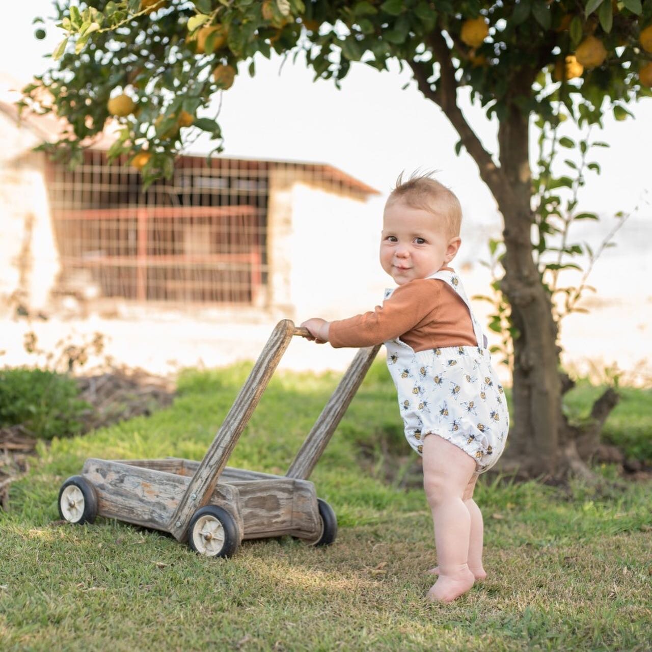 Ha🐝 First 🐝Day darling Macey Boy!

How are here already!? It&rsquo;s been 12 wild months of you my darling 💛

You&rsquo;ve kept us all on our toes, pretty much every day 😅 but I wouldn&rsquo;t change any of it for the world.

Here&rsquo;s to you 
