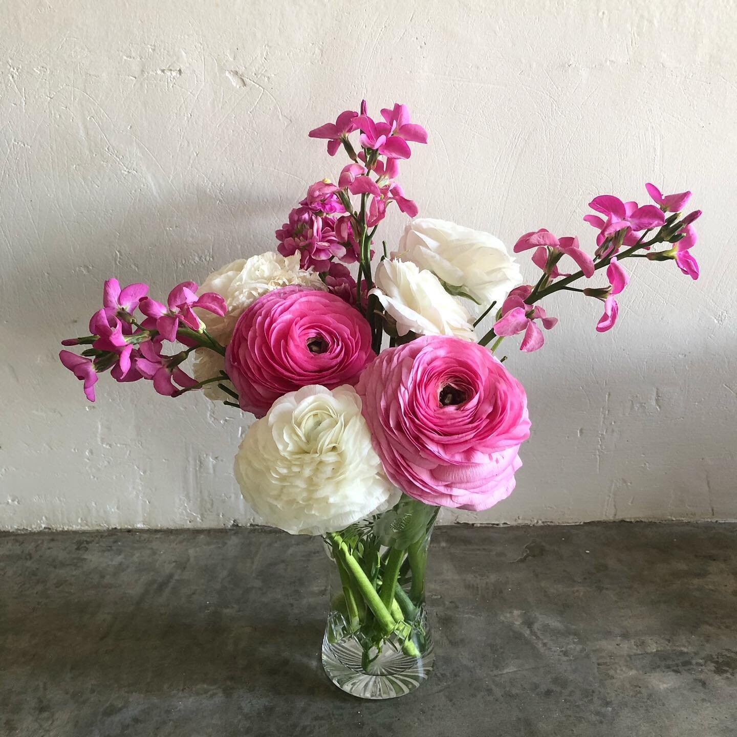 These homegrown beauties deserve their own spot on my feed!
I have never really cared much for Rununculas&hellip;but after seeing @adeneflowers photos of them I decided to give them a bash. And I&rsquo;m so glad I did!
These little blooms of joy were