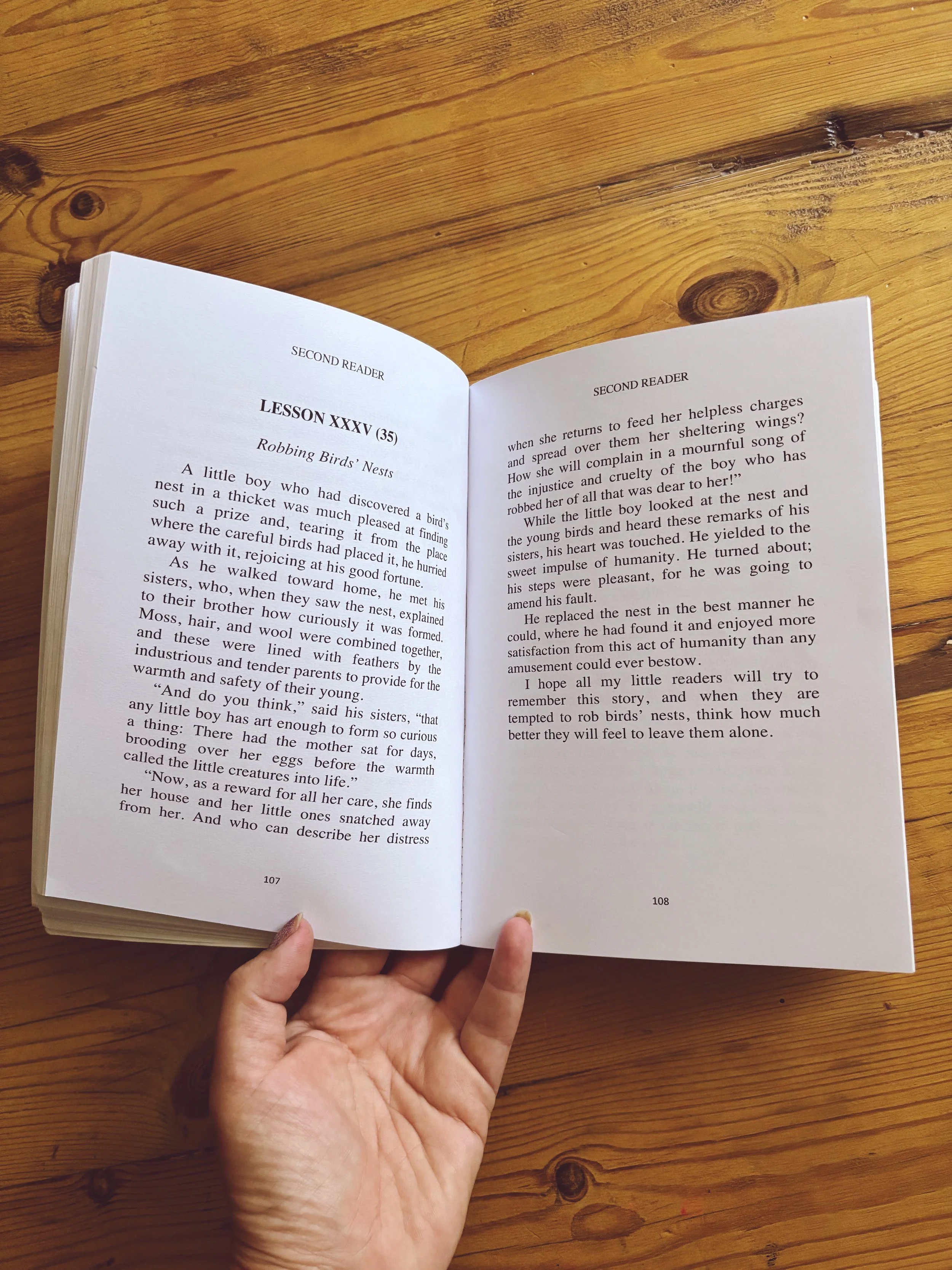 AmblesideOnline Year 2 south africa homeschool charlotte mason 6.jpg