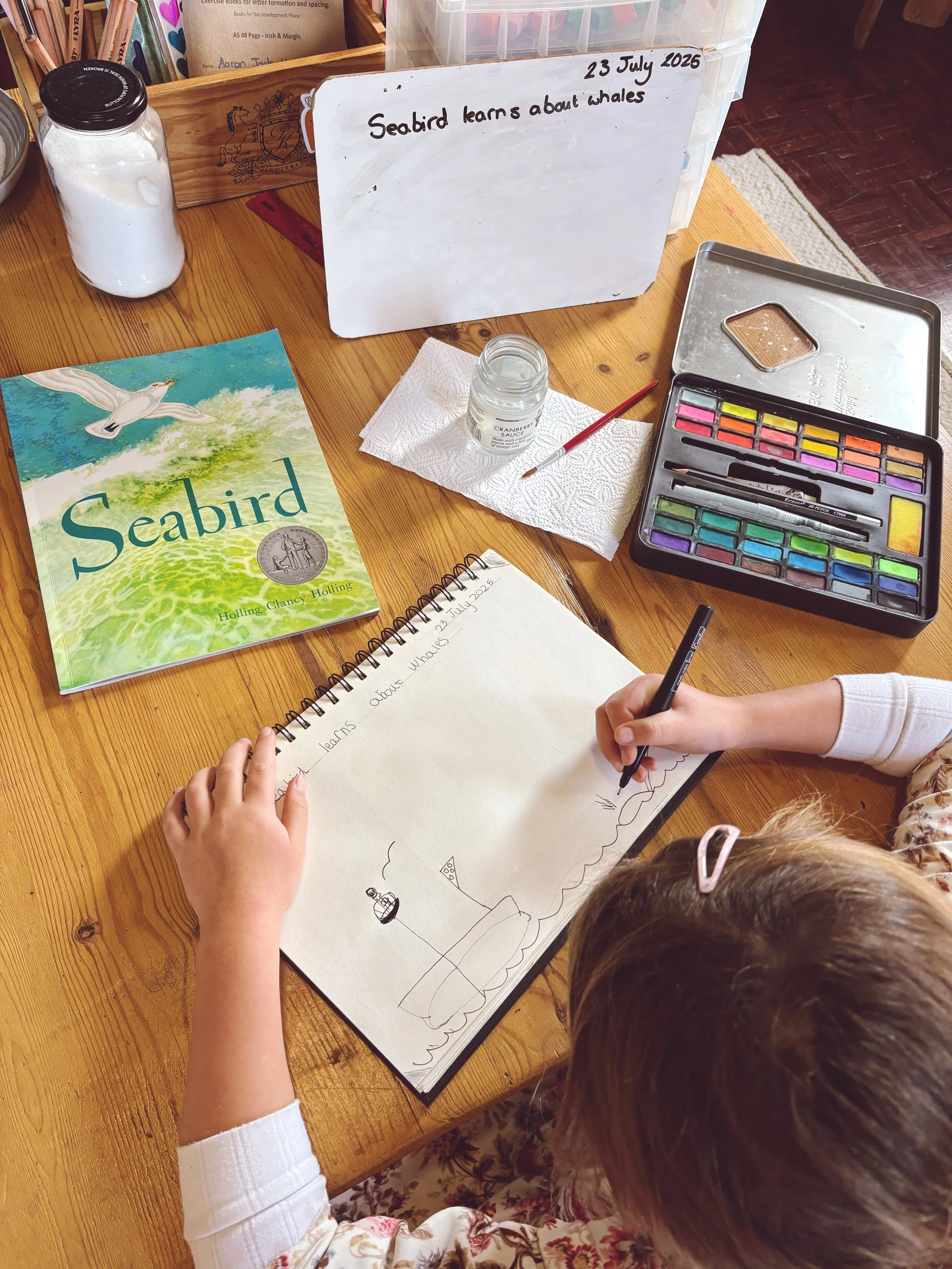 AmblesideOnline Year 2 south africa homeschool charlotte mason geography.JPG