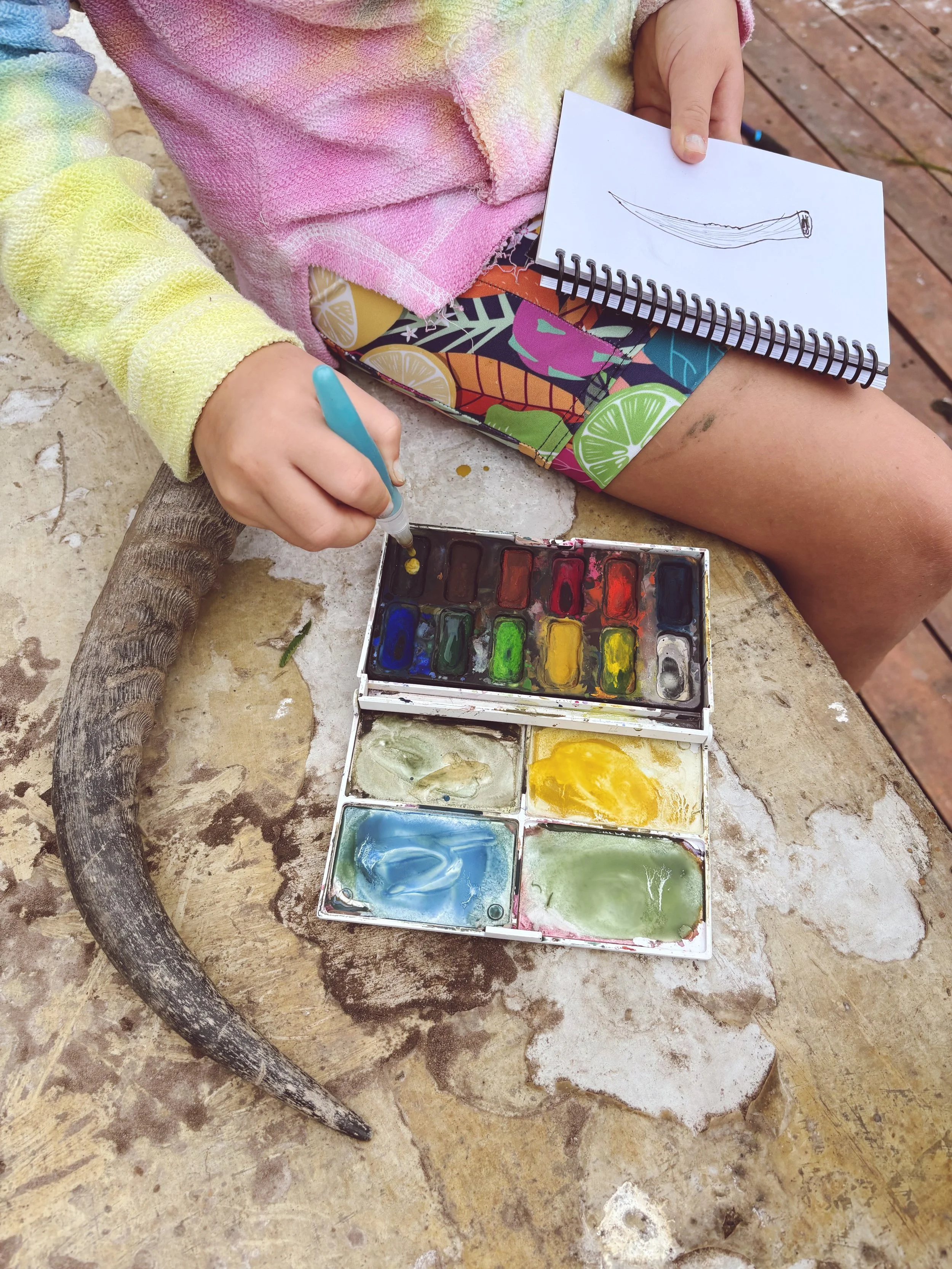 AmblesideOnline Year 2 south africa homeschool charlotte mason nature study.JPG