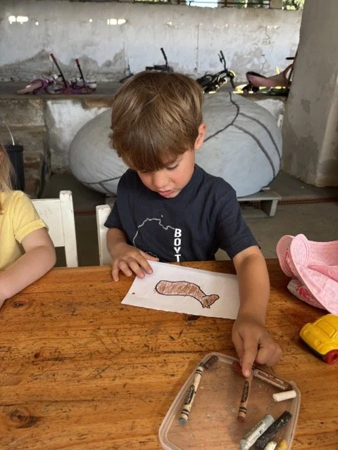 Red Shed Reggio lesson ideas letter H horses1902 1.jpeg