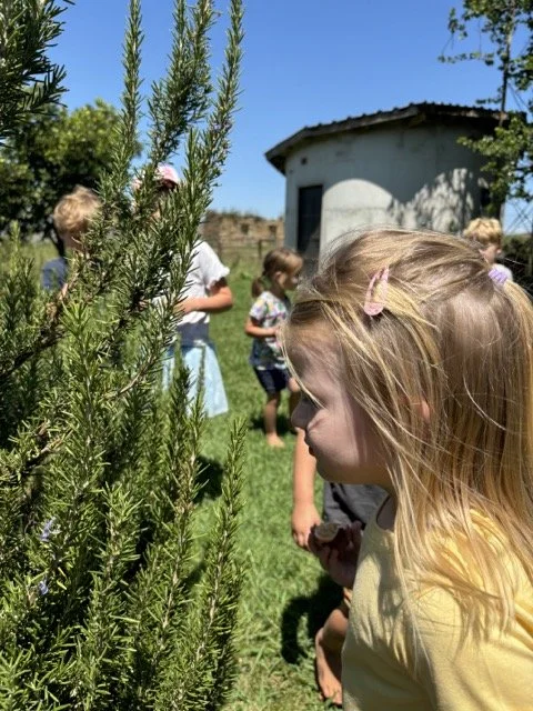 Red Shed Reggio lesson ideas letter H horses1923 1.jpeg