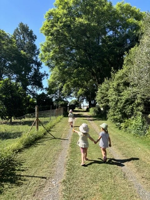 Red Shed Reggio lesson ideas letter H horses1995 1.jpeg