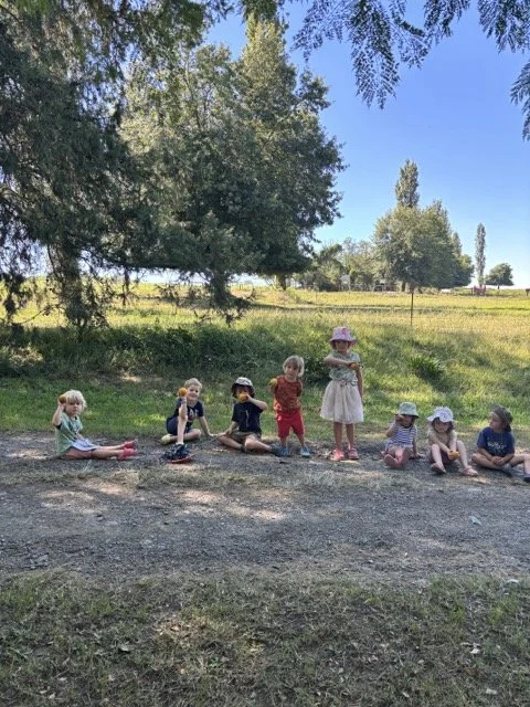 Red Shed Reggio lesson ideas letter H horses2002 1.jpeg