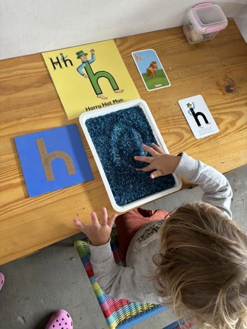 Red Shed Reggio lesson ideas letter H horses1837 1.jpeg