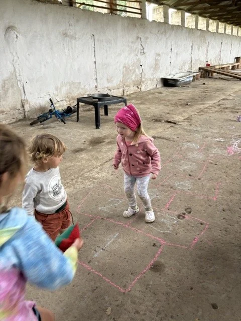 Red Shed Reggio lesson ideas letter H horses1846 1.jpeg