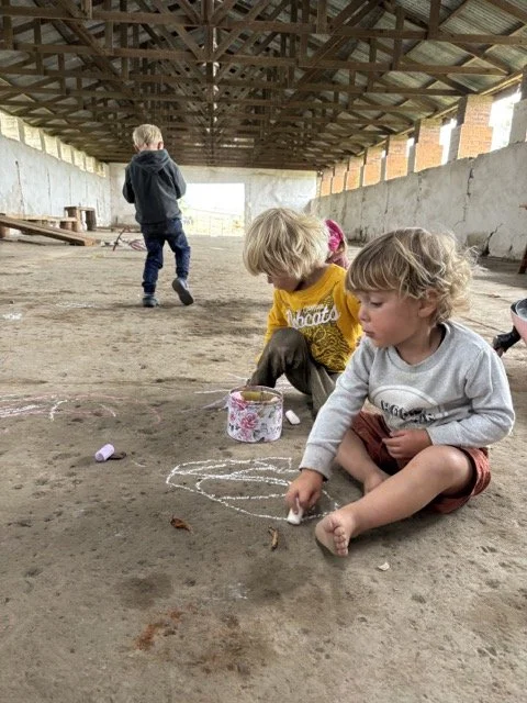 Red Shed Reggio lesson ideas letter H horses1848 1.jpeg