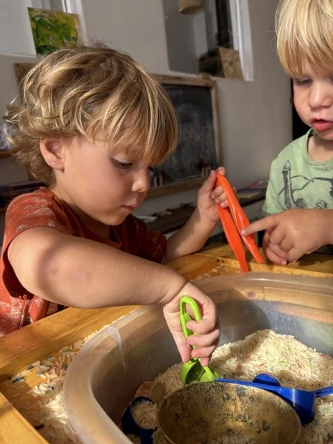 Red Shed Reggio lesson ideas letter H horses1946 1.jpeg