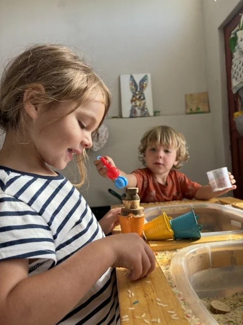 Red Shed Reggio lesson ideas letter H horses1953 1.jpeg