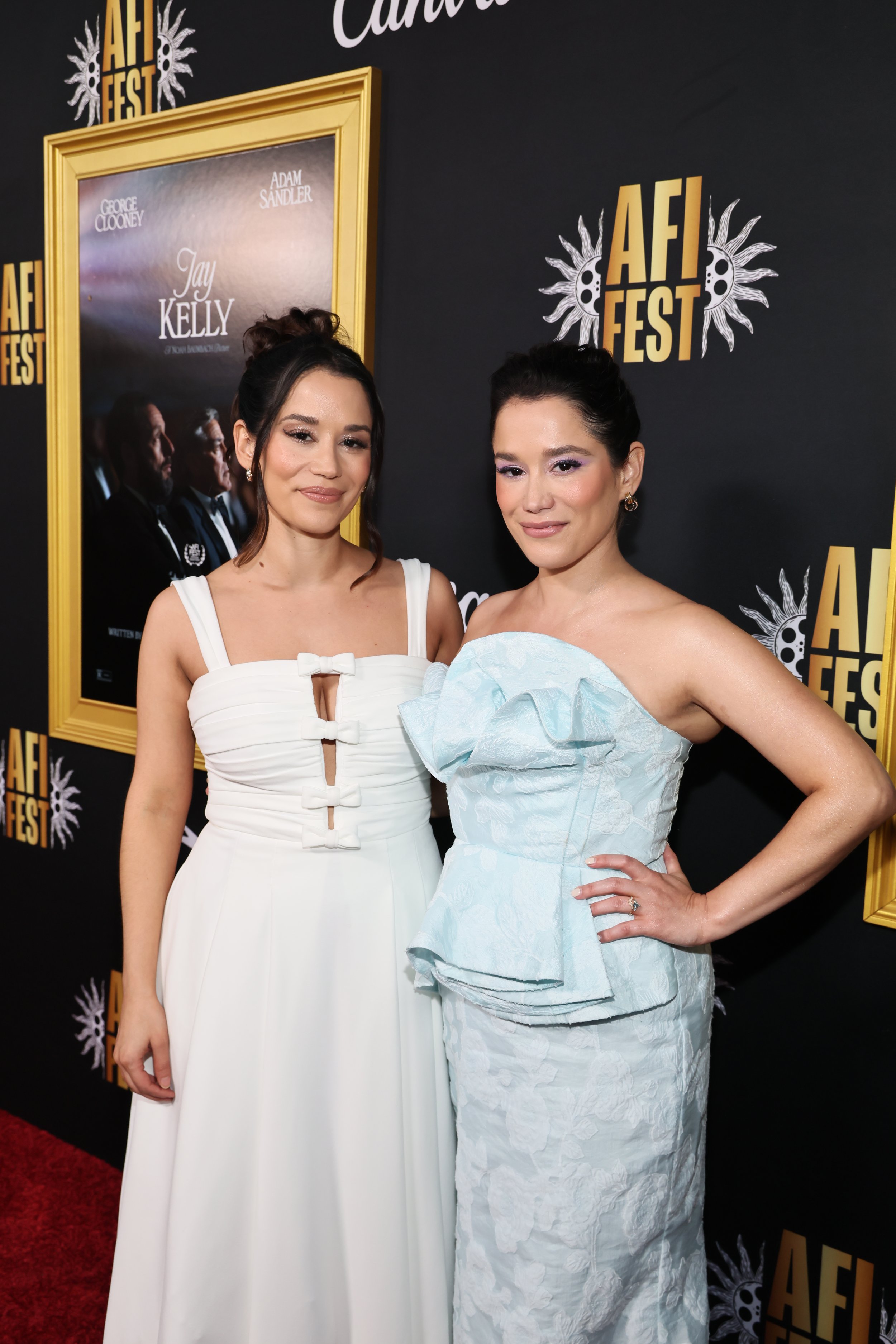 AFI Red Carpet.jpg