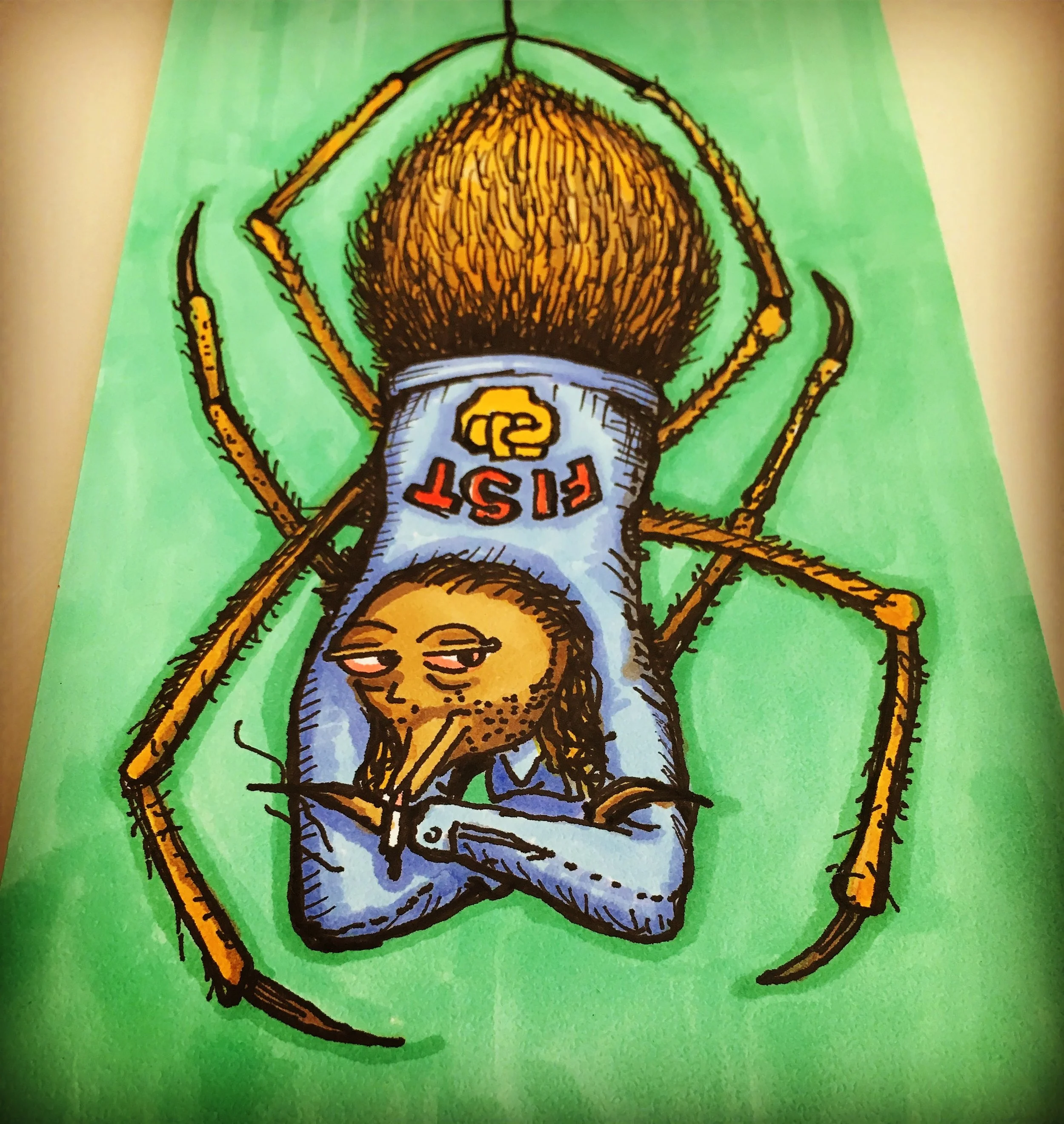 The Skeptical Spider