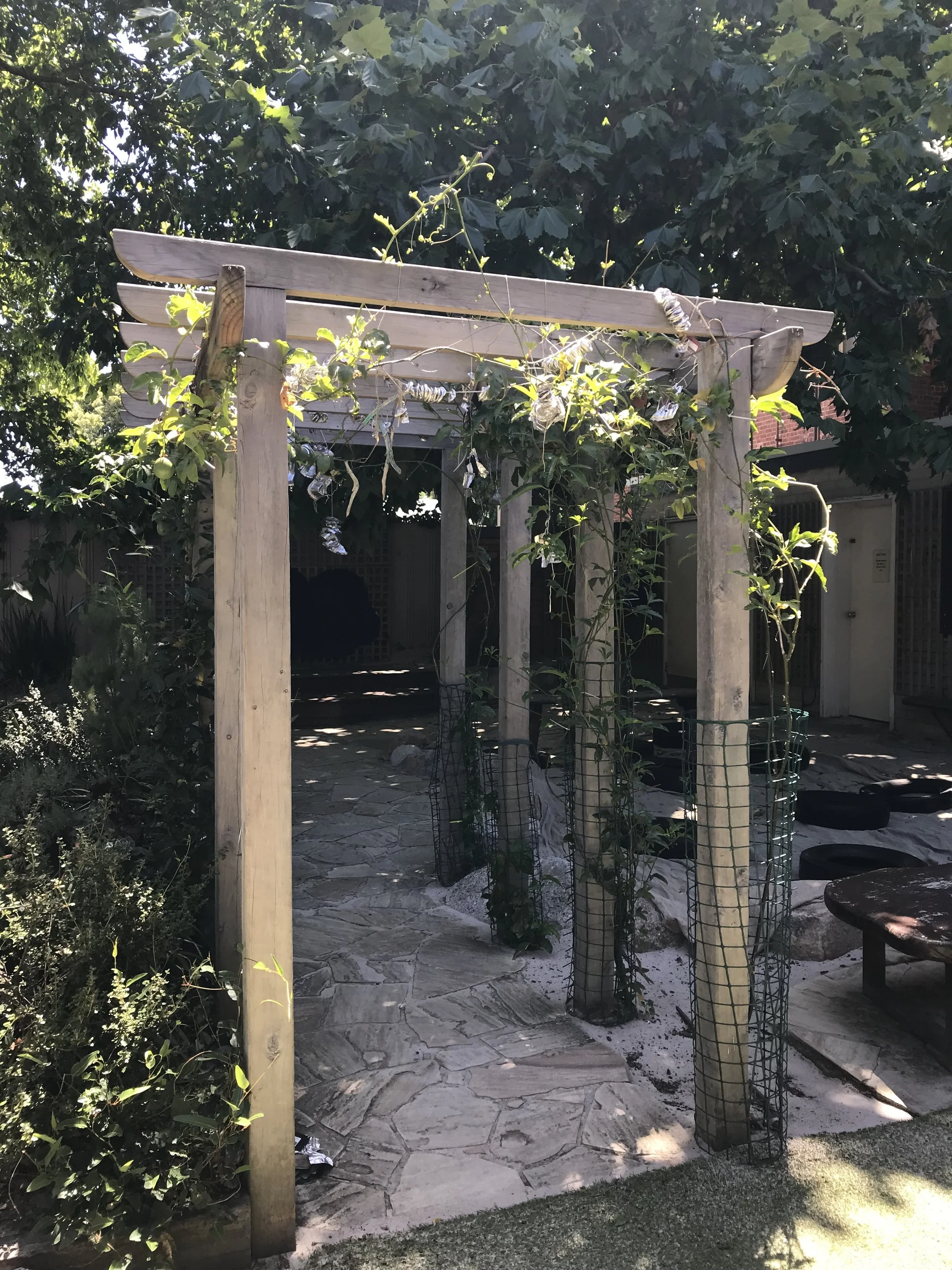 IMG_5426.jpeg