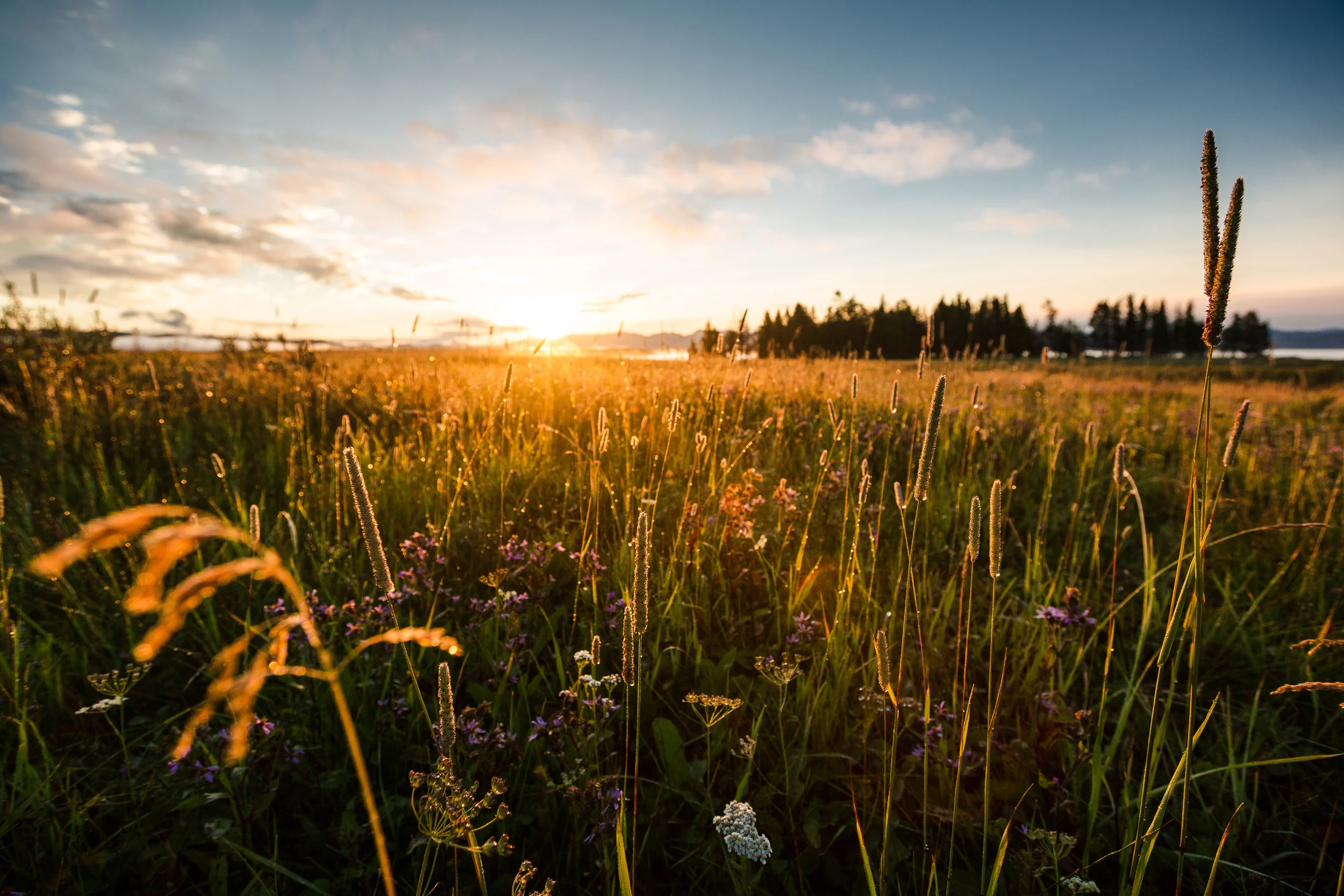 yellowstone sunrise.jpg