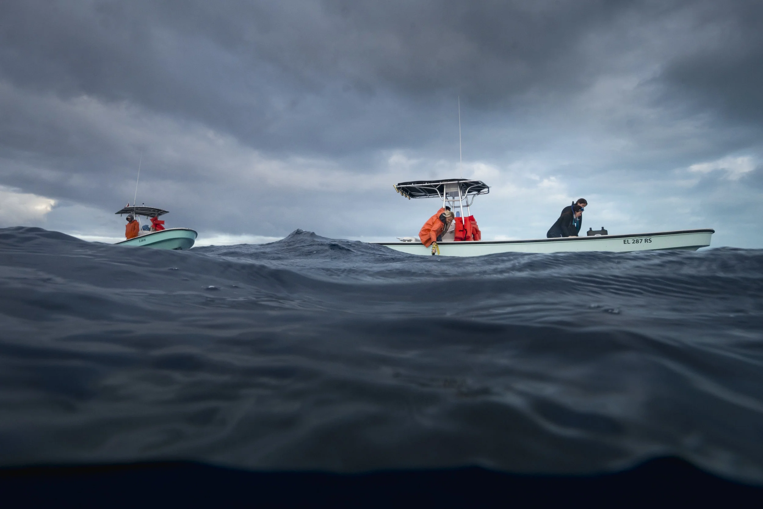 P8030999.jpg
