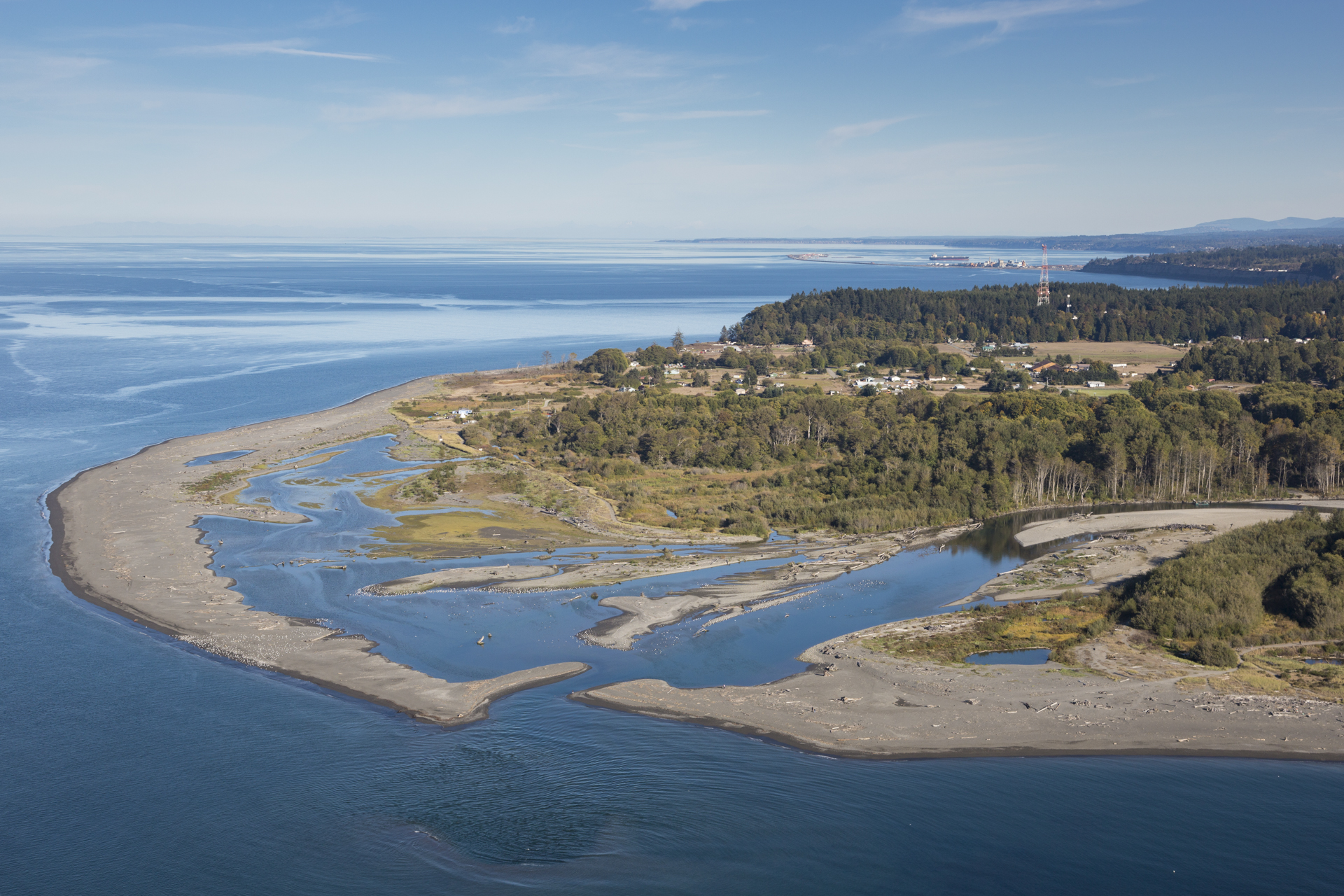 After the deconstruction of the Elwha Dam in Washington State, sediment that had accumulated behind the dam wall was washed downstream where it re-created a beach that had not been there for over 80 years. This new habitat is ideal for juvenile salmon to forage in before they head out into the Pacific.