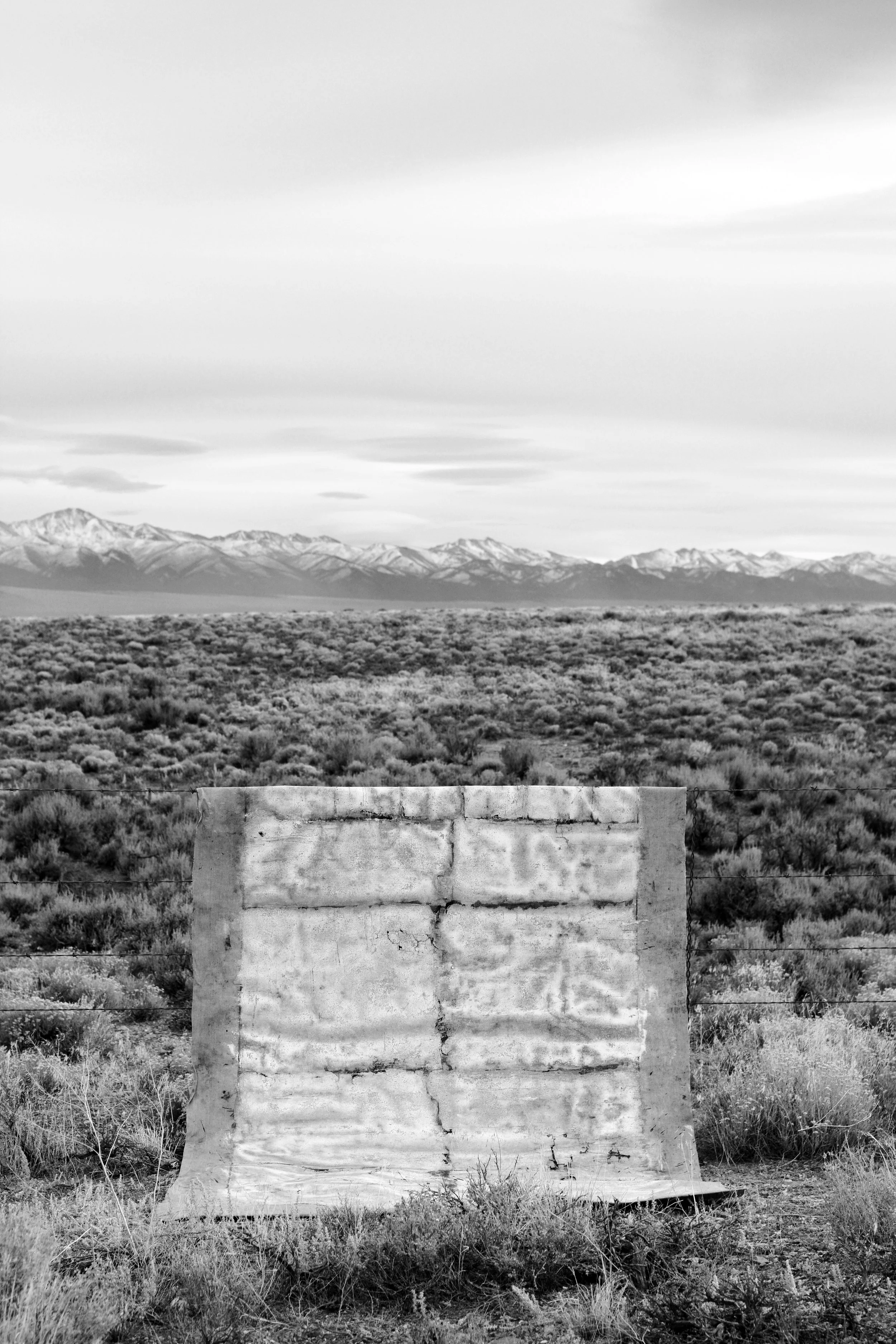 DSC_3321.jpg