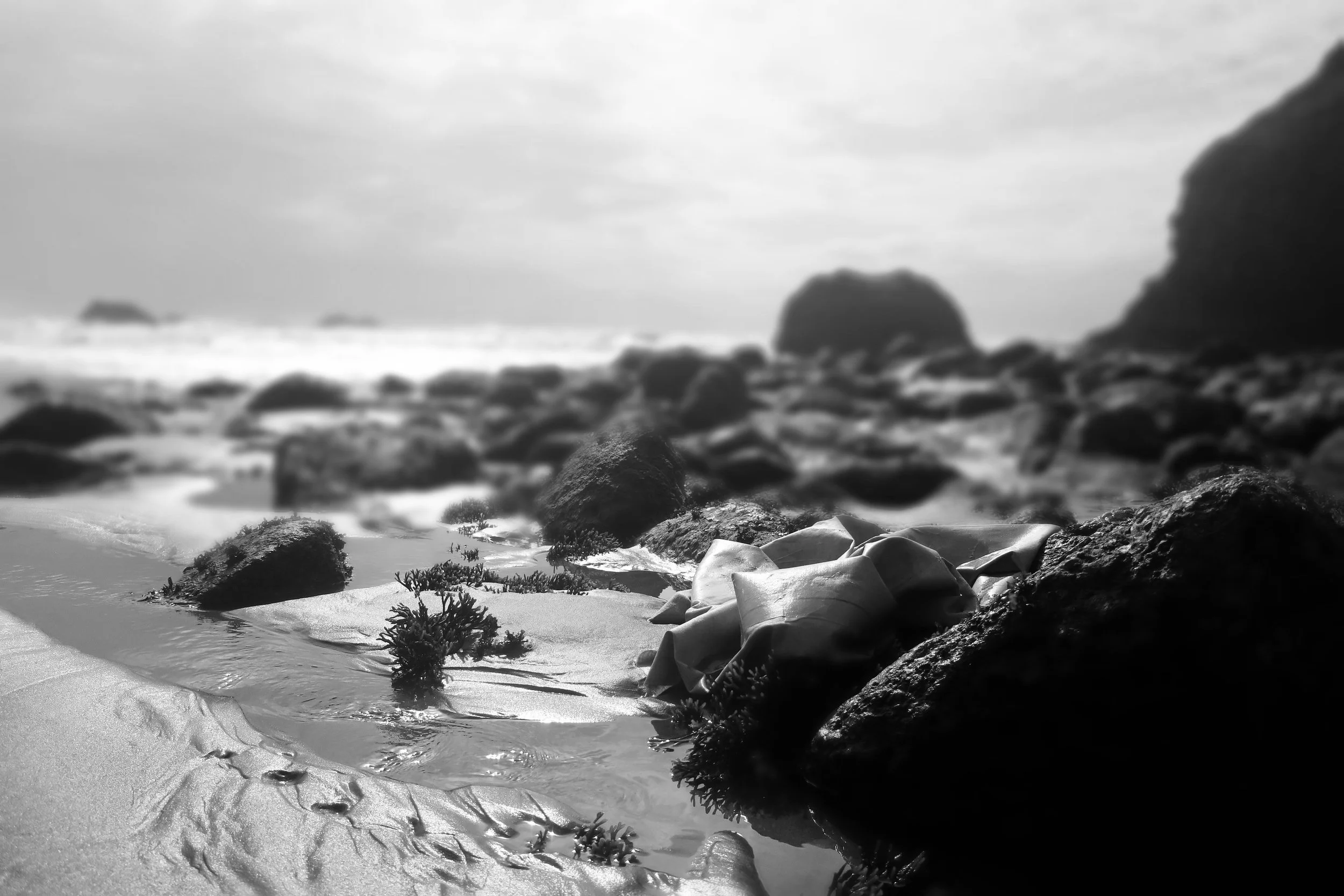 in rocks wave.jpg