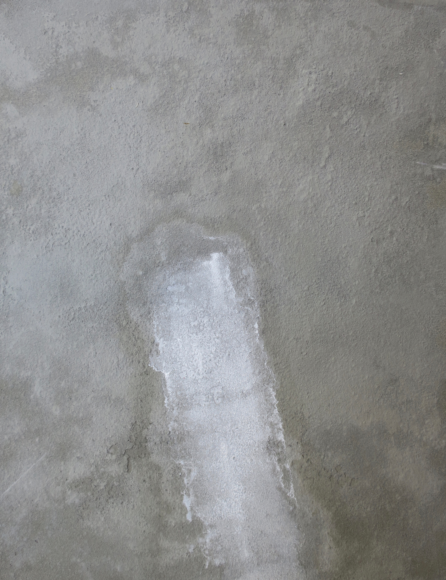 Huber_White-on-Concrete-II.jpg