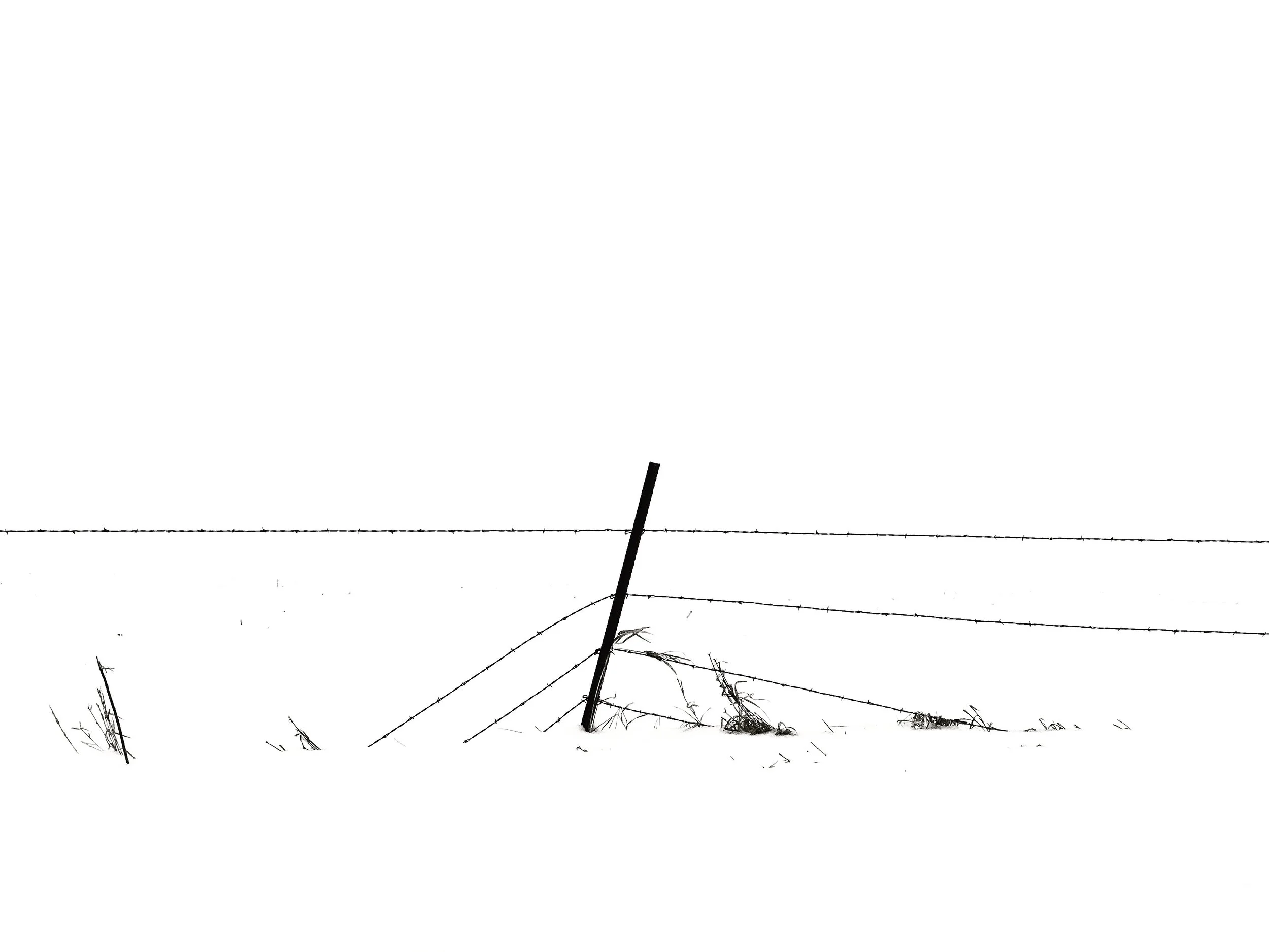 AE16B161-05E9-43EB-B653-68A78E6EF204.JPG