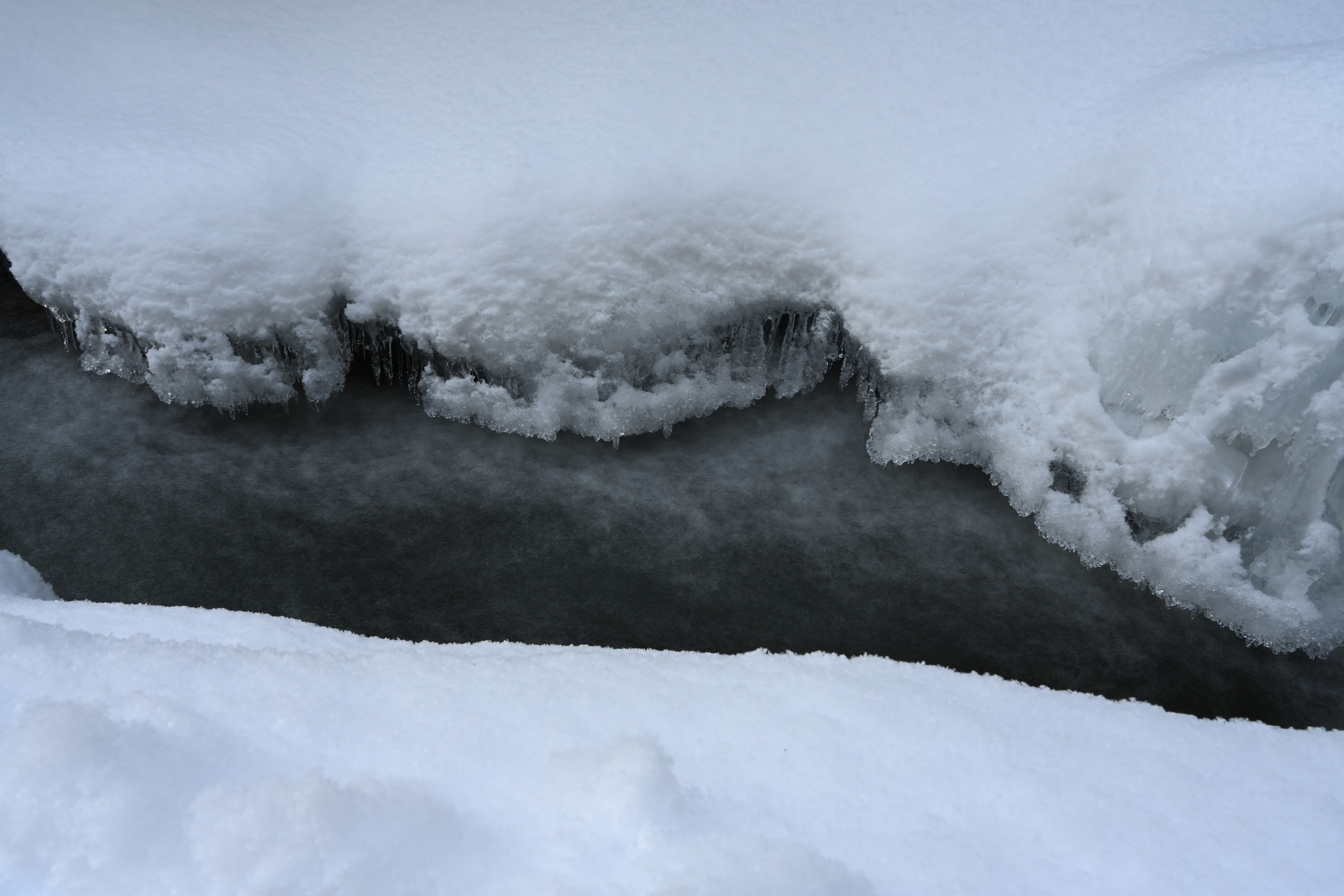 File Jan 08, 07 06 40.jpeg