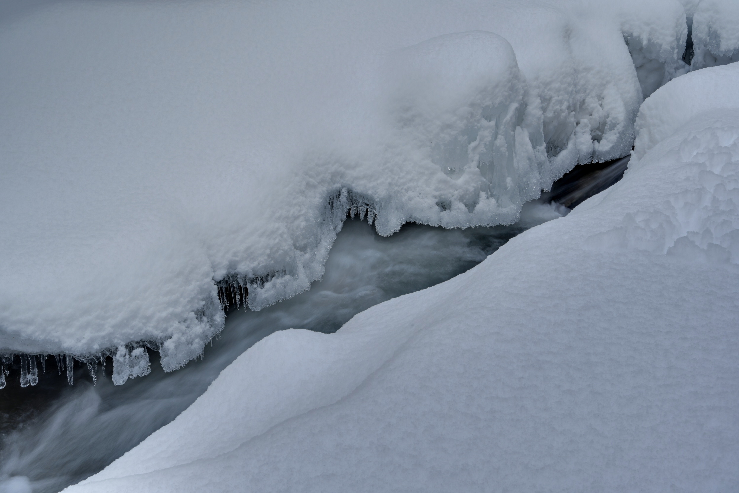 File Jan 08, 06 59 33.jpeg