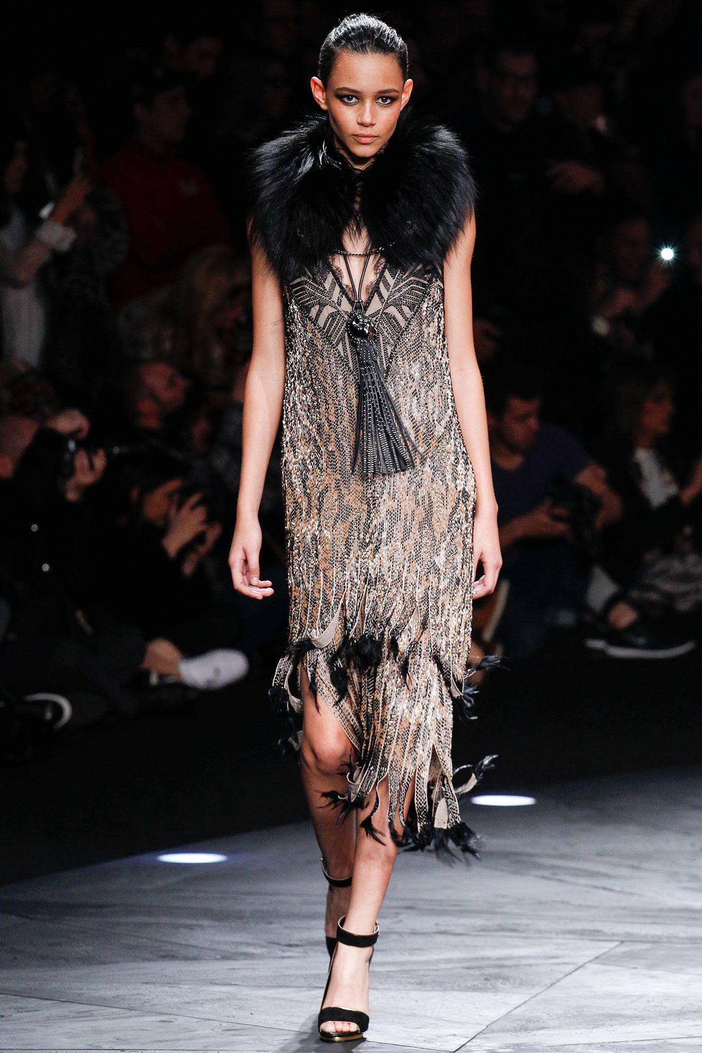 Roberto-Cavalli-Fall-2014-03.JPG