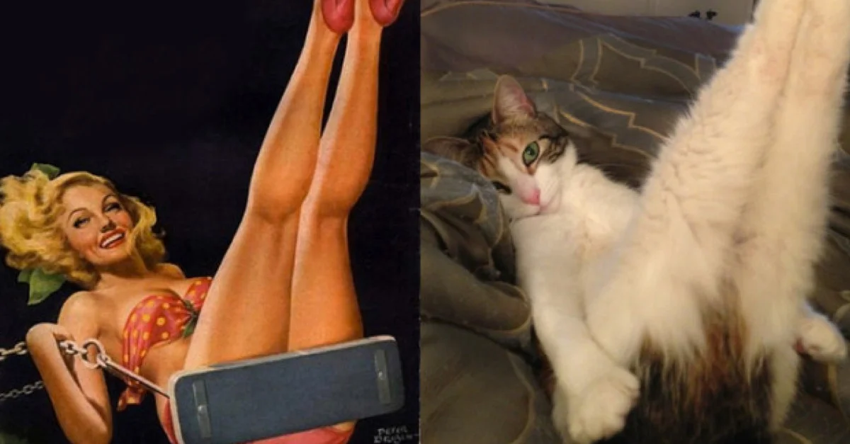 pinup FB.jpg
