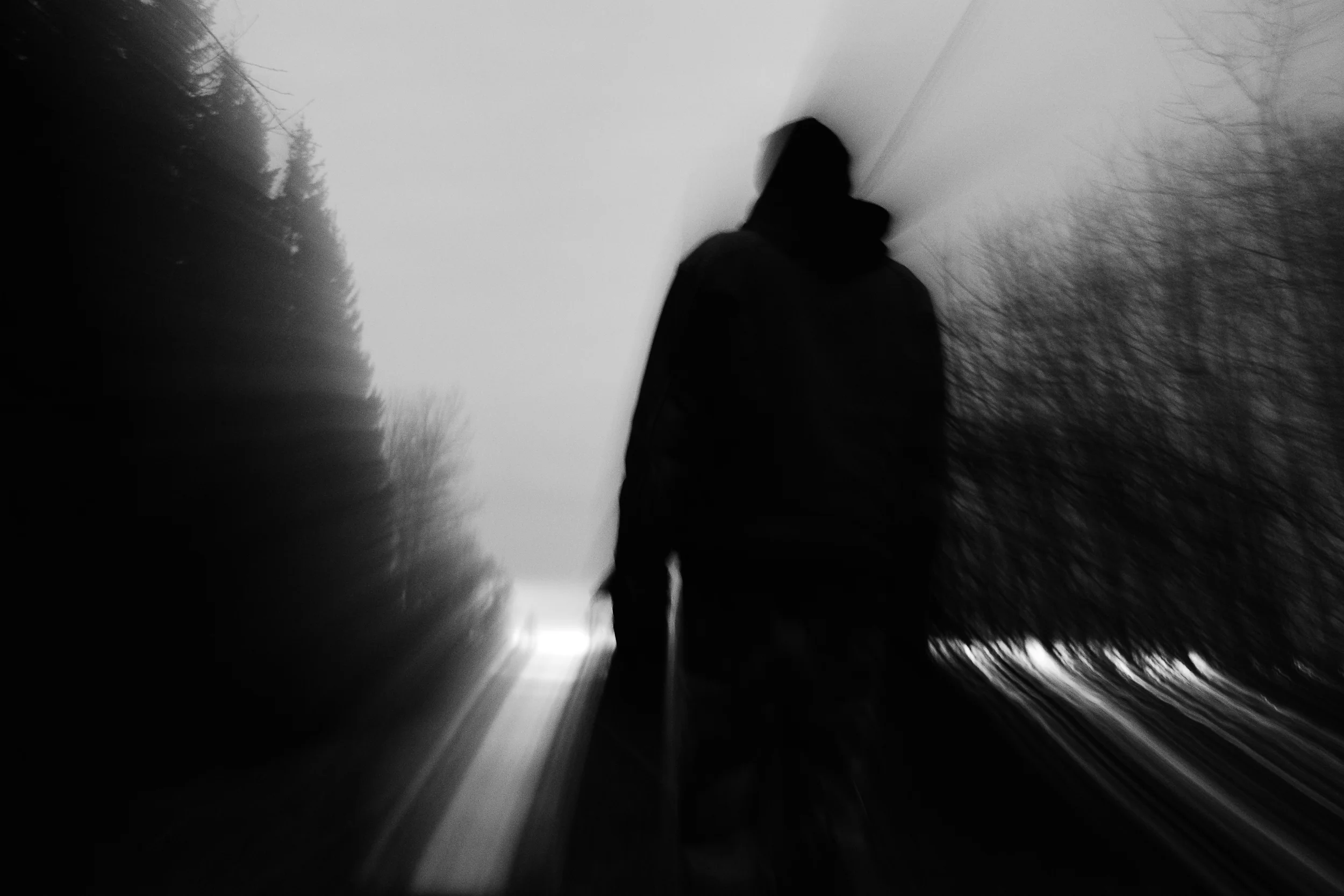Fotografi av Marie Olskims Lusth från utställningen "Ljus och mörker"