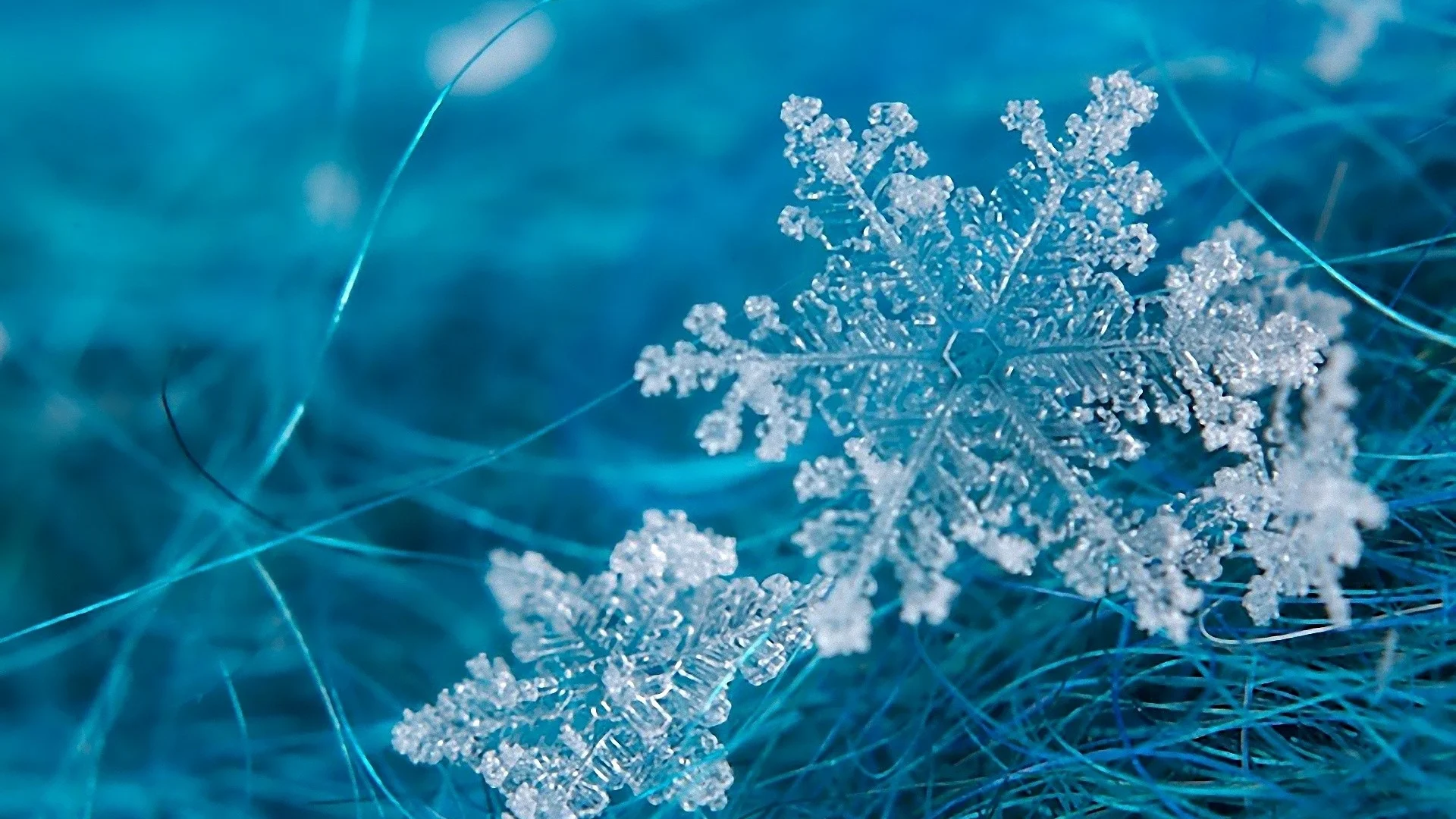 snöflinga.jpg