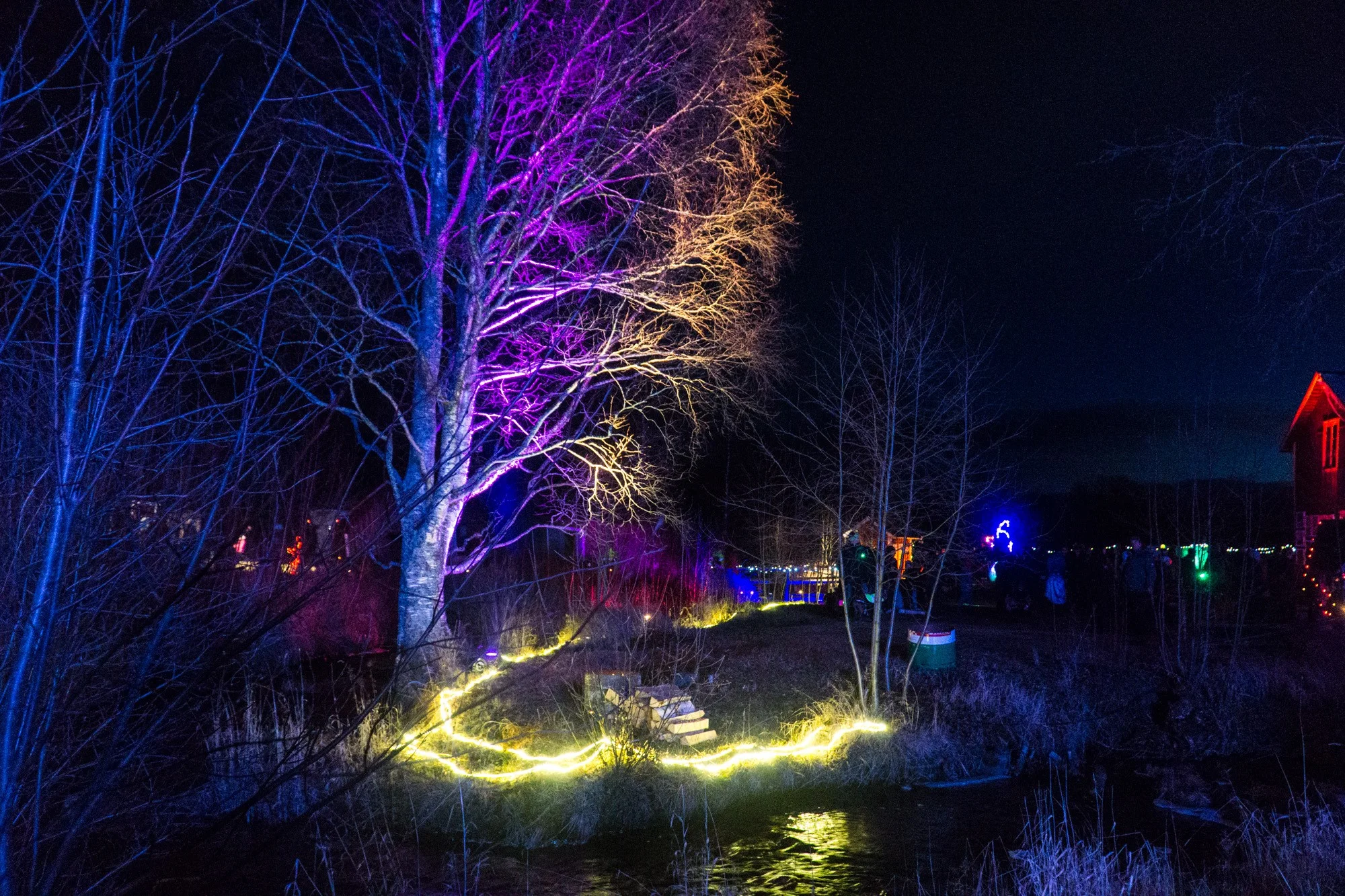 Simon besökte Midvinterglöd första gången förra året när temat var Fjäderfall! I år återvänder Simon till Midvinterglöd i sällskap av ett härligt gäng i skuggbussen. &nbsp;Foto: Simon Mogren. .
