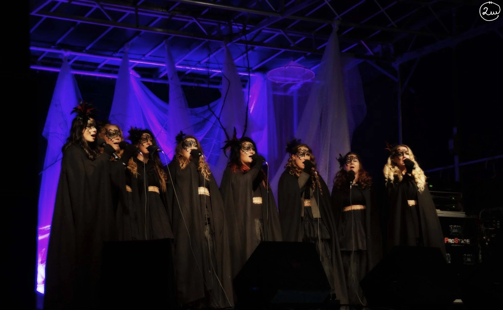 Vokalgruppen Dimmeraryn medverkar i showen Lucia i folktron med sin stämsång. 