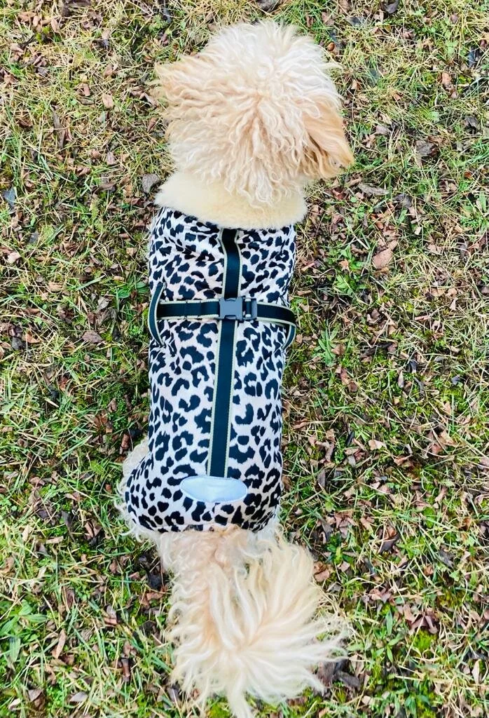Hundemantel Leopard 2.jpeg